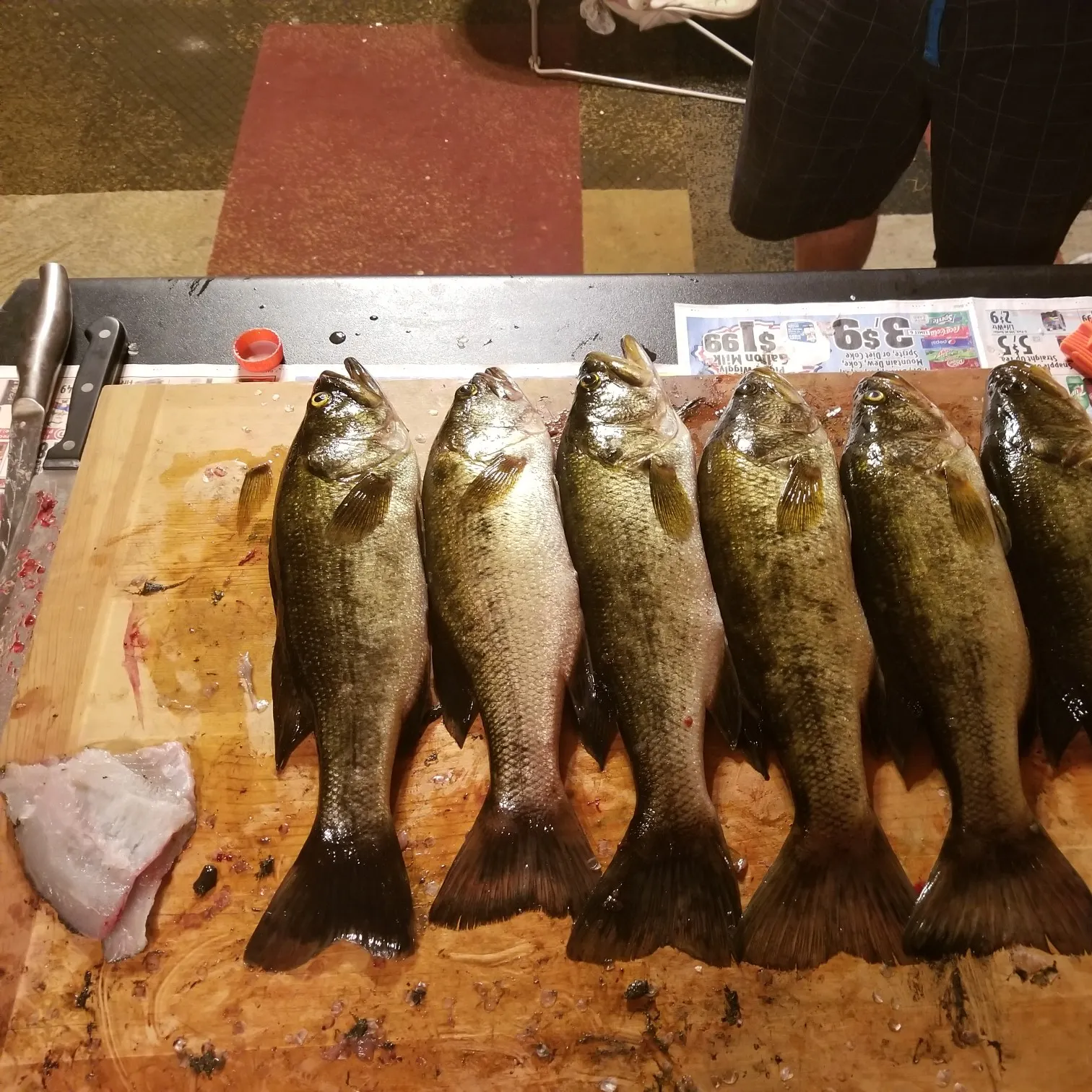 recently logged catches