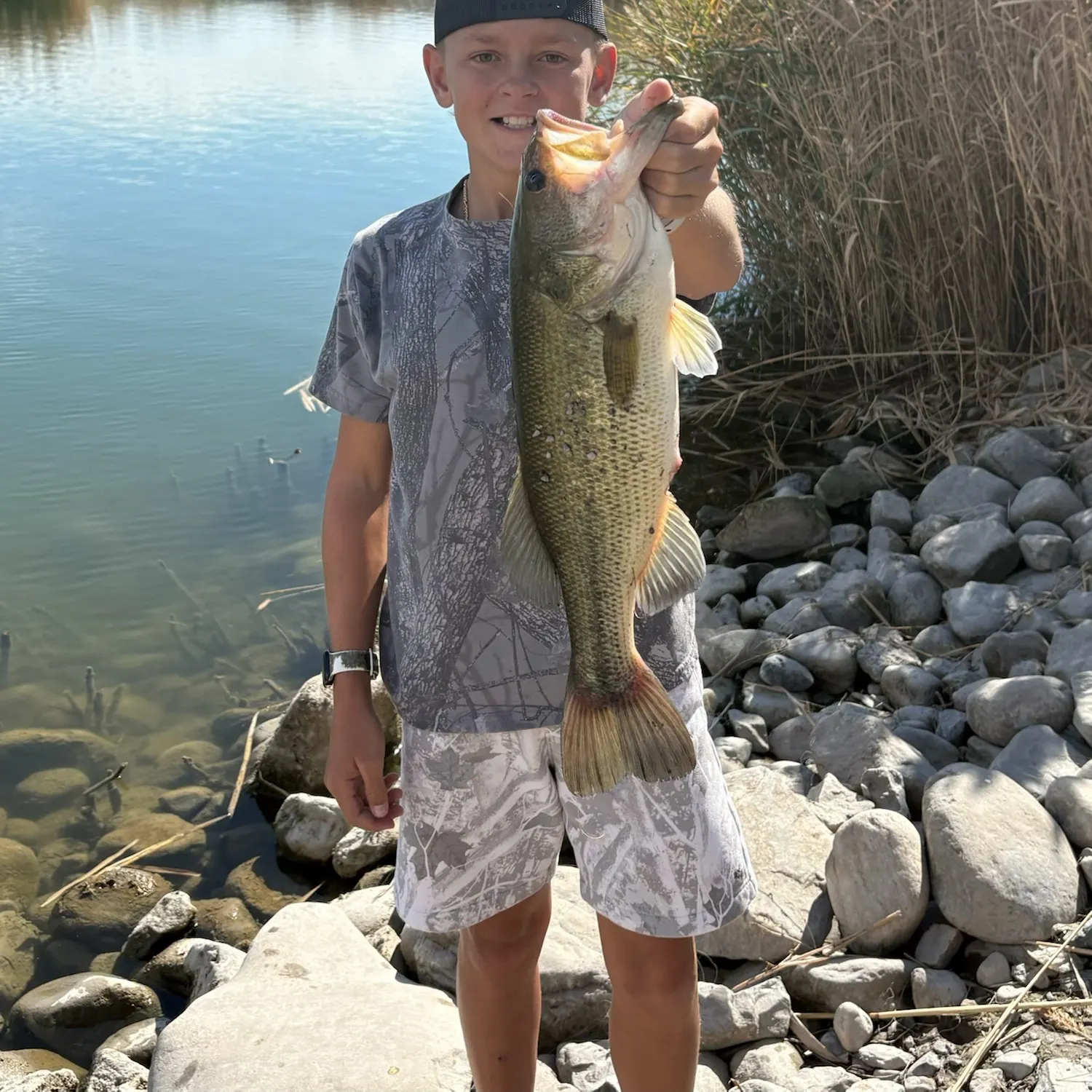 Largemouth bass caught on Fishbrain