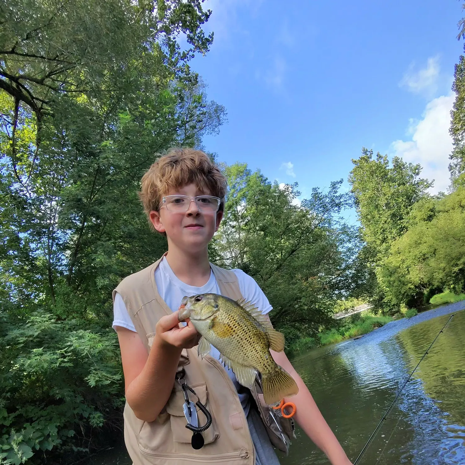Rock bass caught on Fishbrain