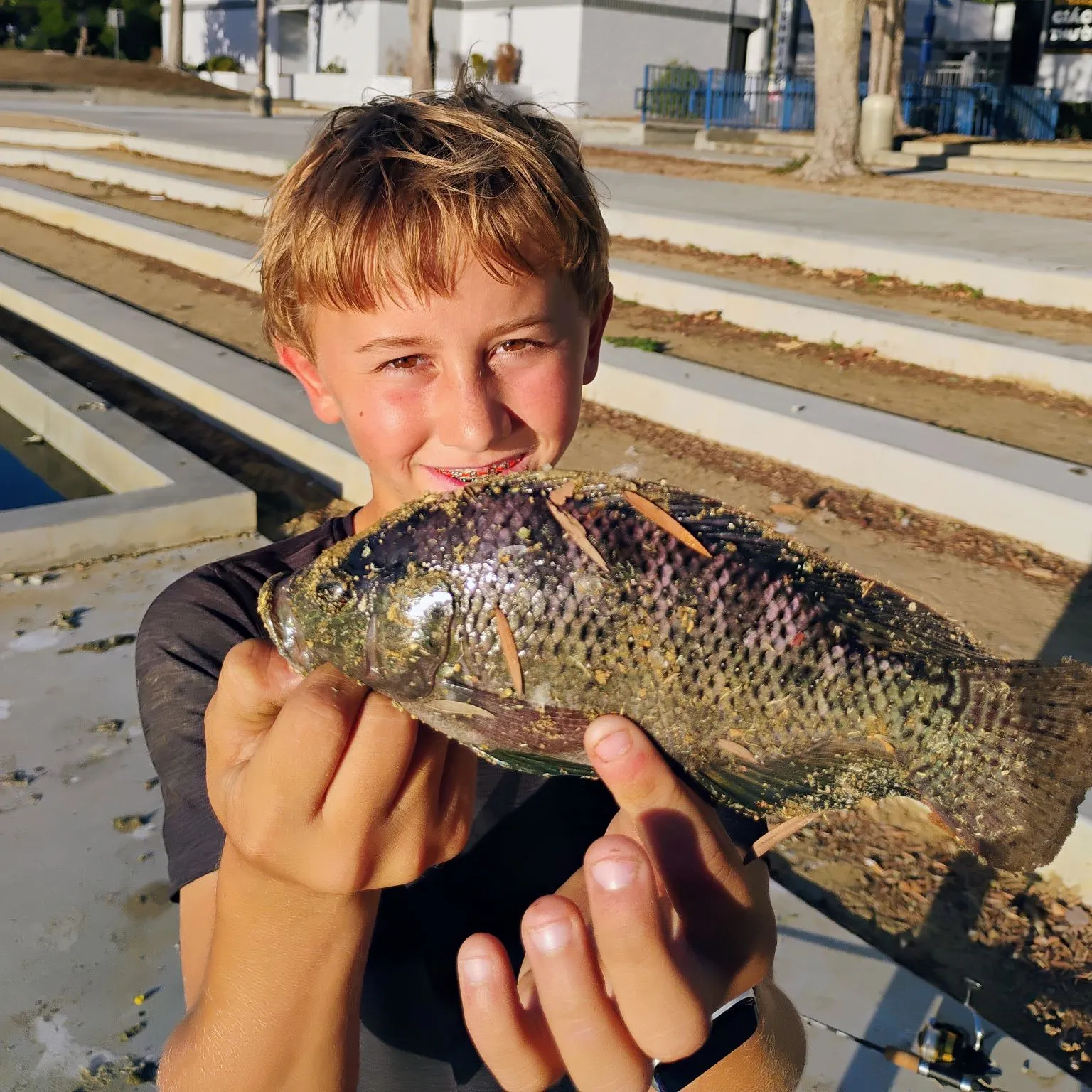 Blue tilapia caught on Fishbrain