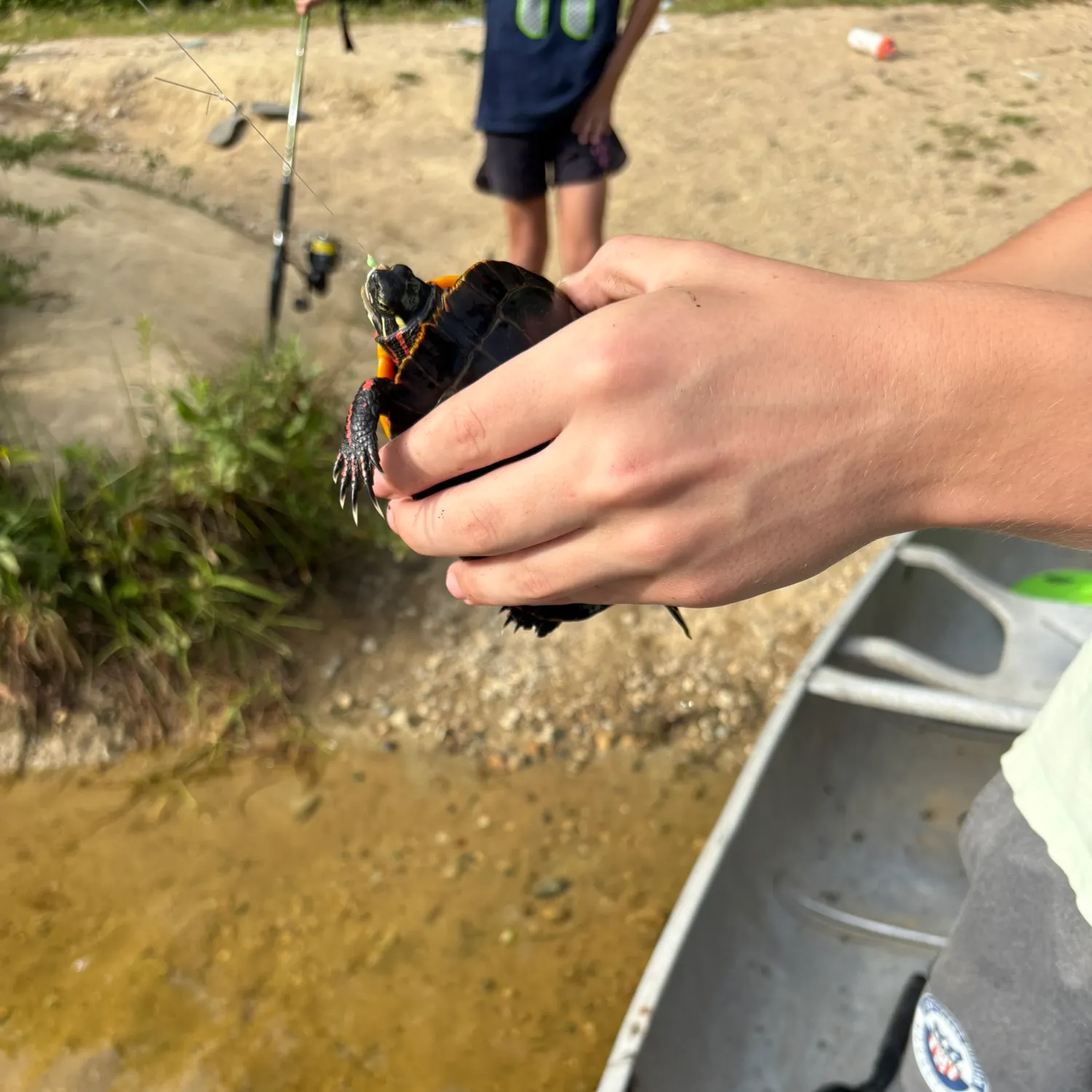 Painted turtle caught on Fishbrain