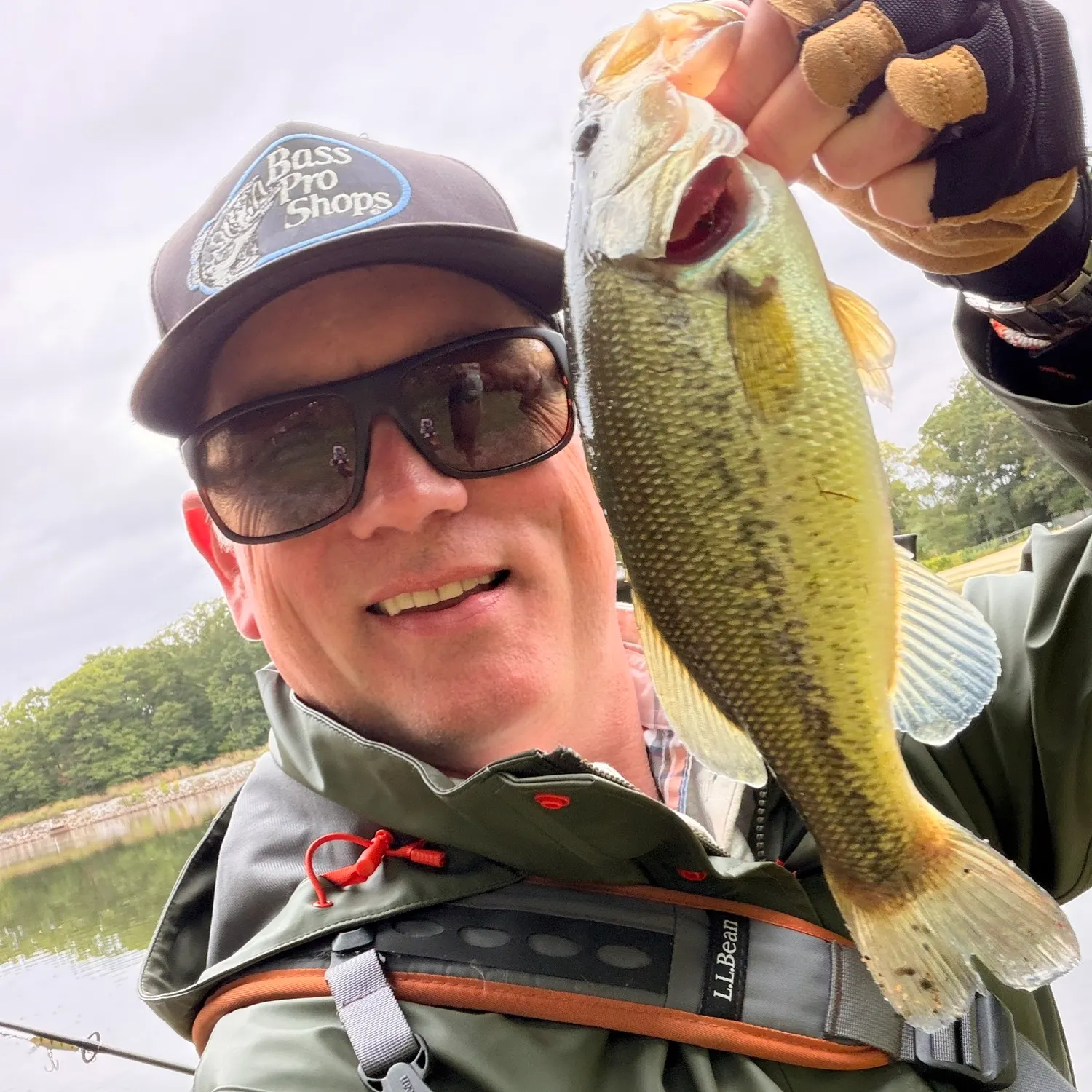 Largemouth bass caught on Fishbrain