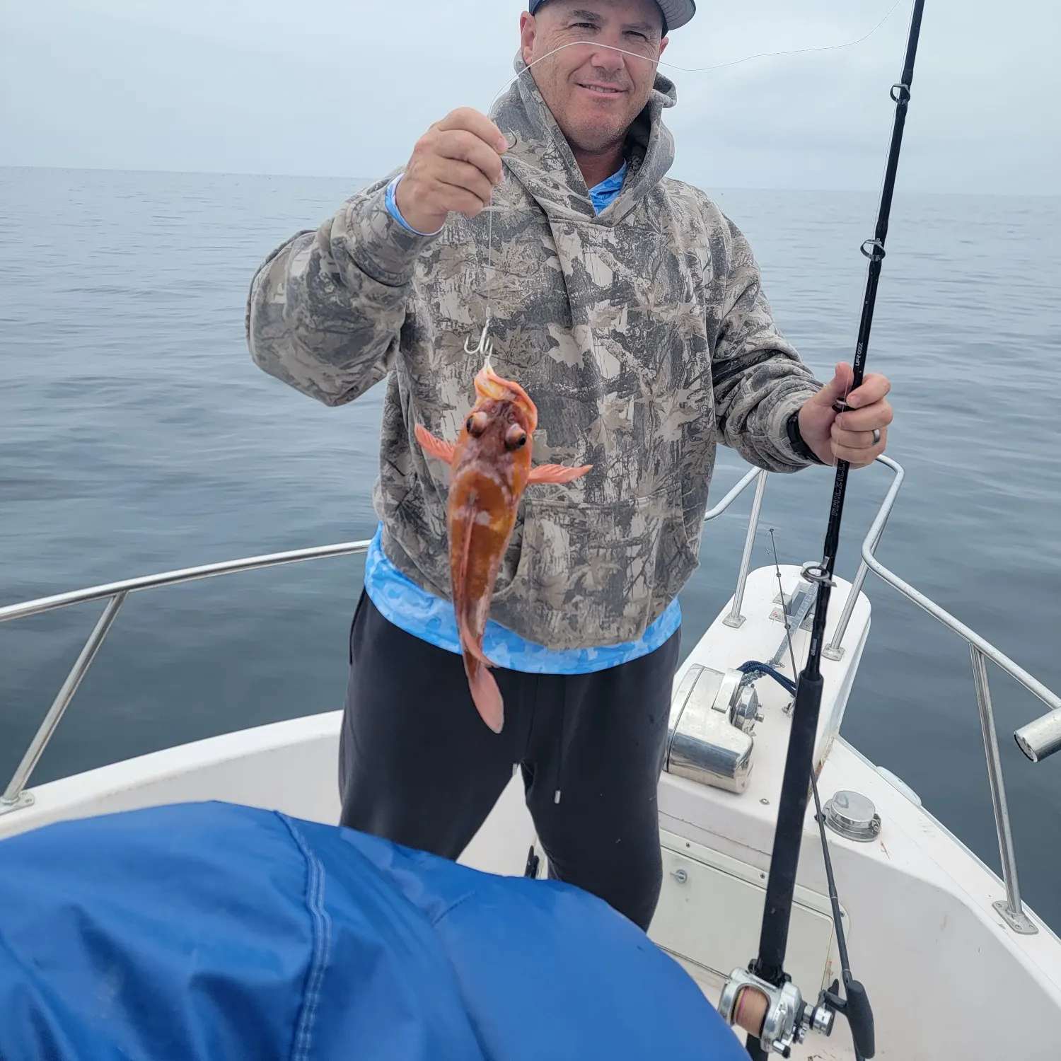 Copper rockfish caught on Fishbrain