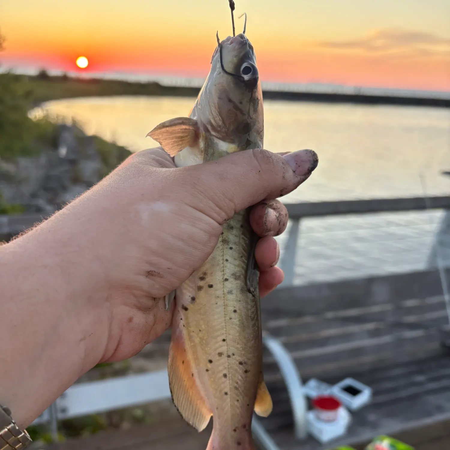 catch