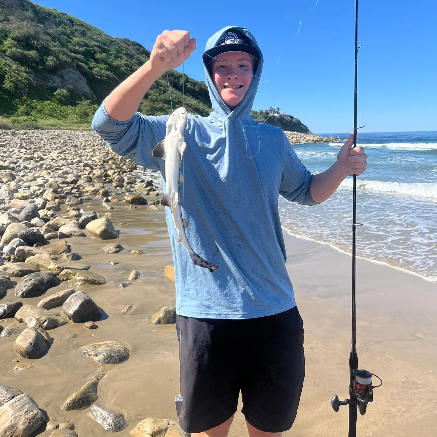 The most recent Leopard shark catches on Fishbrain