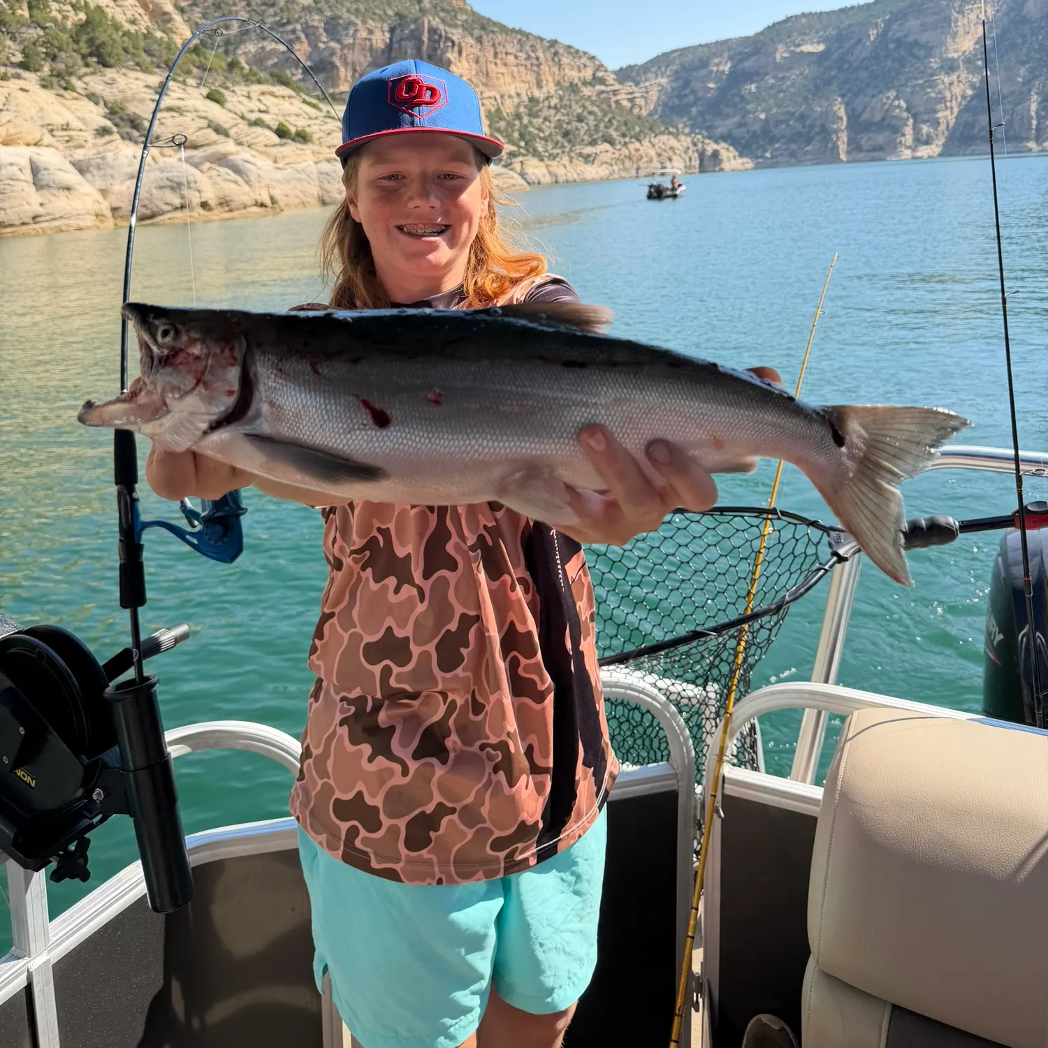 The most recent Kokanee salmon catches on Fishbrain