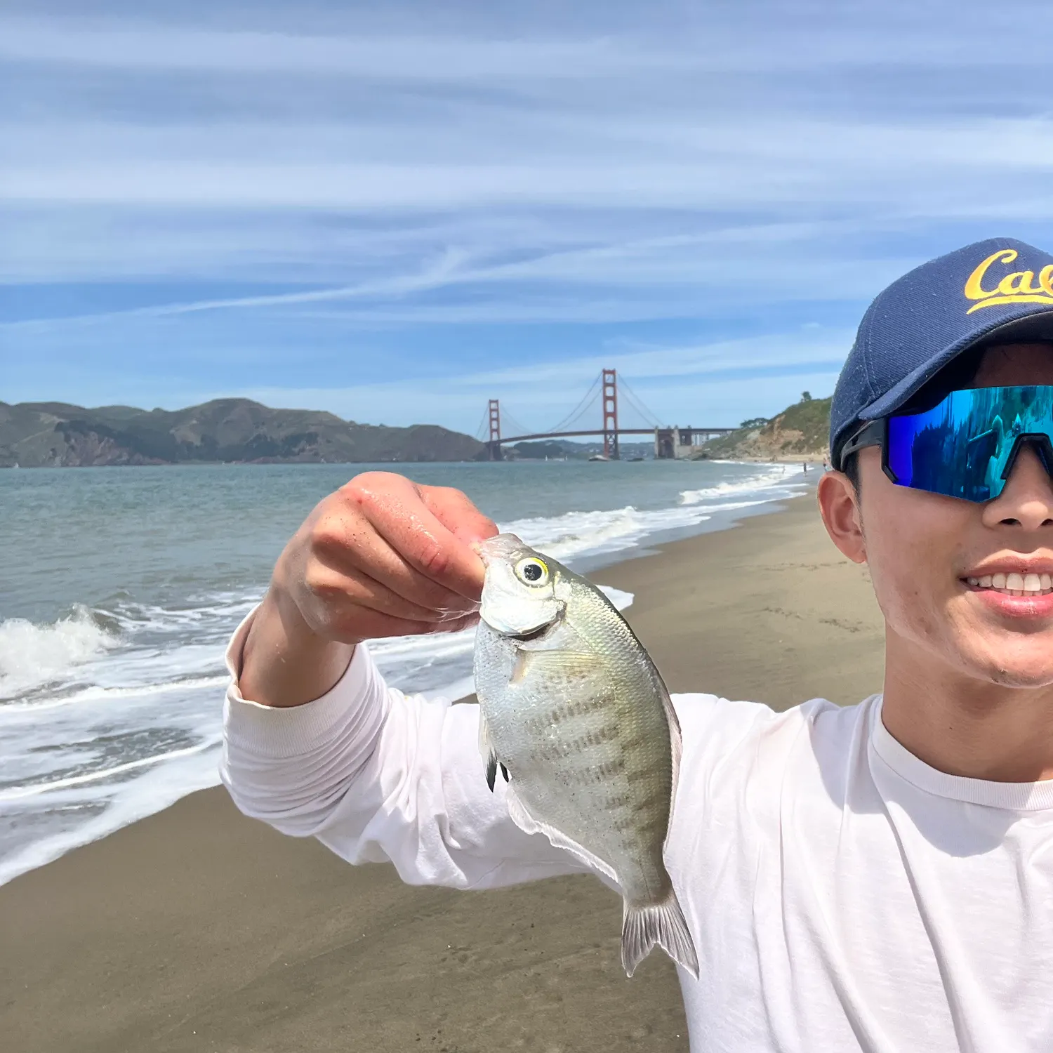 The most recent Walleye surfperch catches on Fishbrain