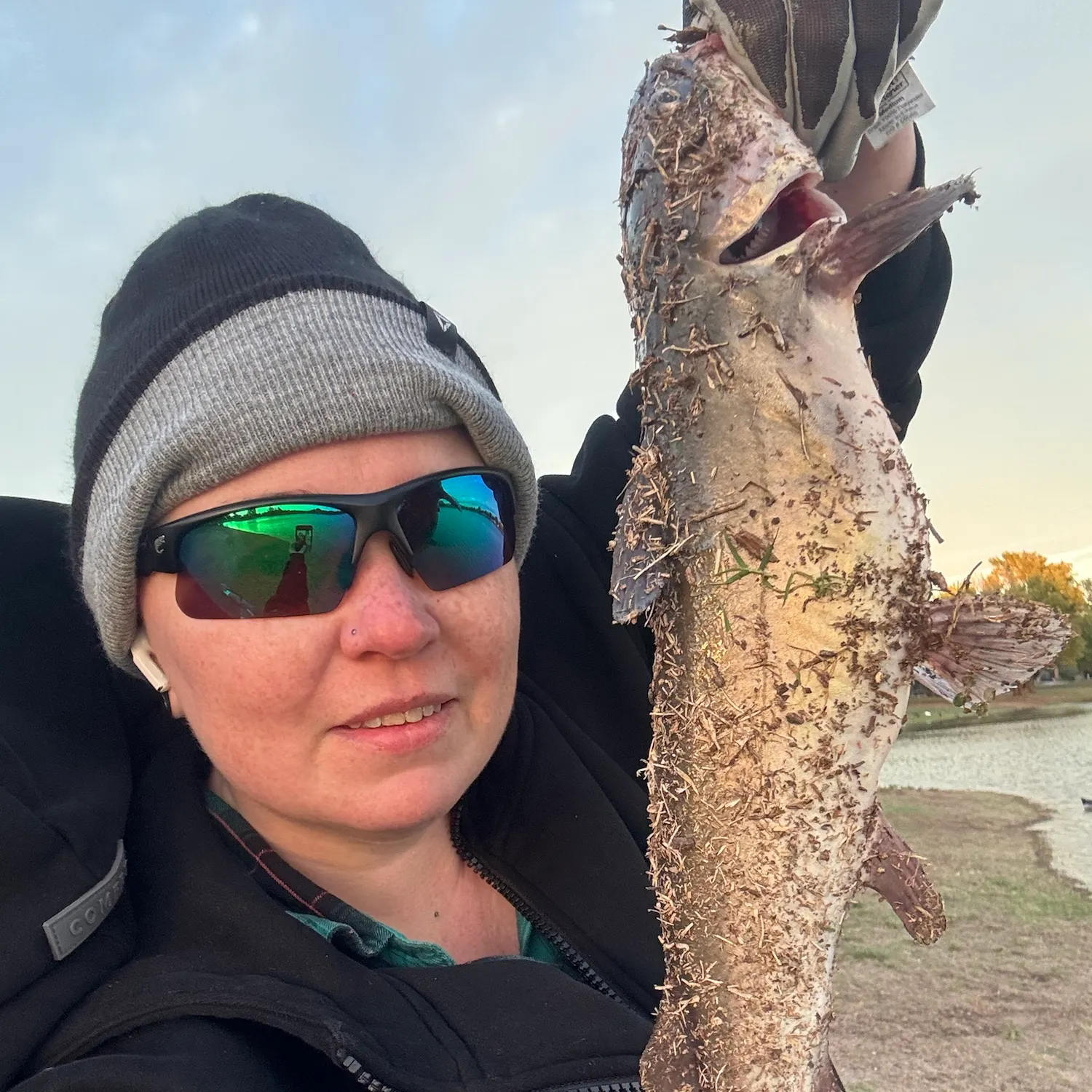 Channel catfish caught on Fishbrain