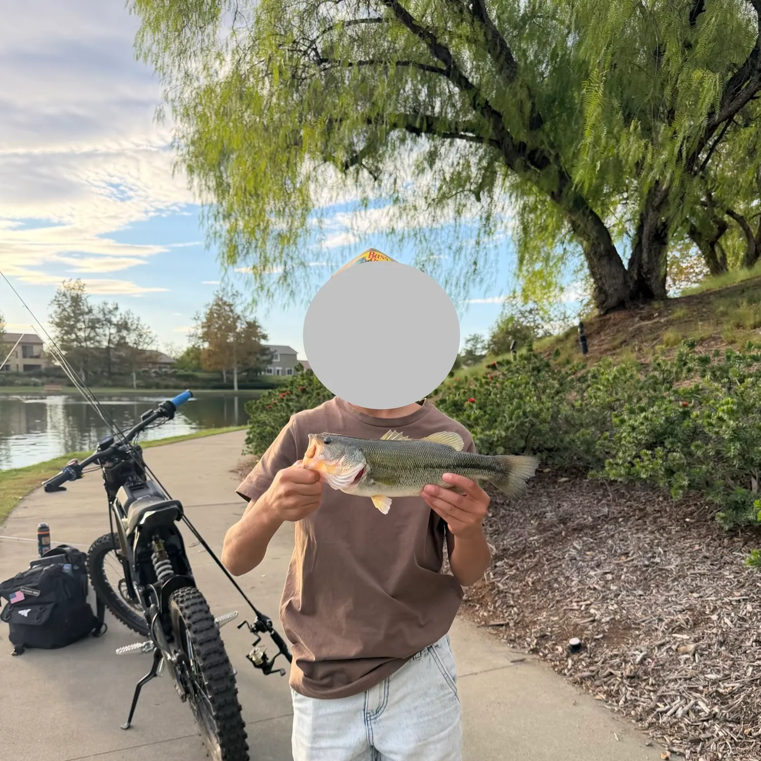 Largemouth bass caught on Fishbrain