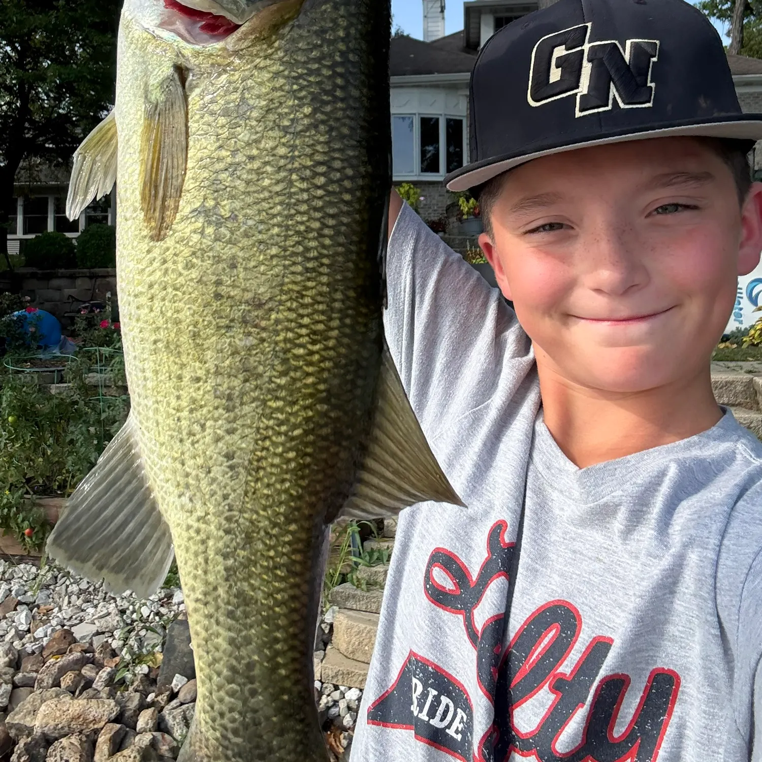 Smallmouth bass caught on Fishbrain