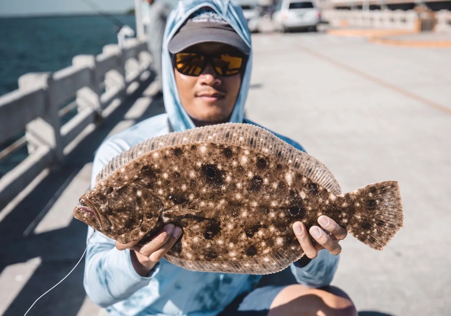 Summer flounder