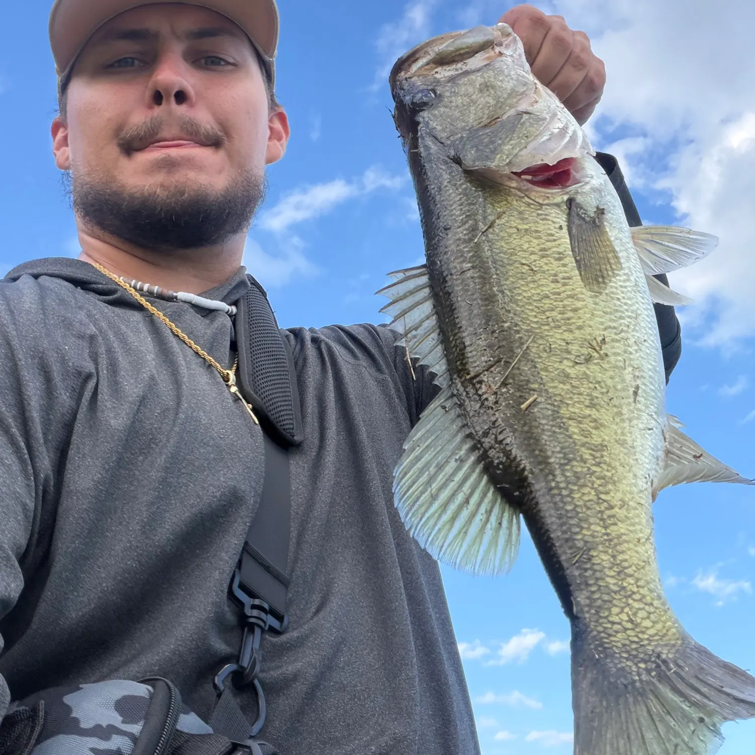 Largemouth bass caught on Fishbrain