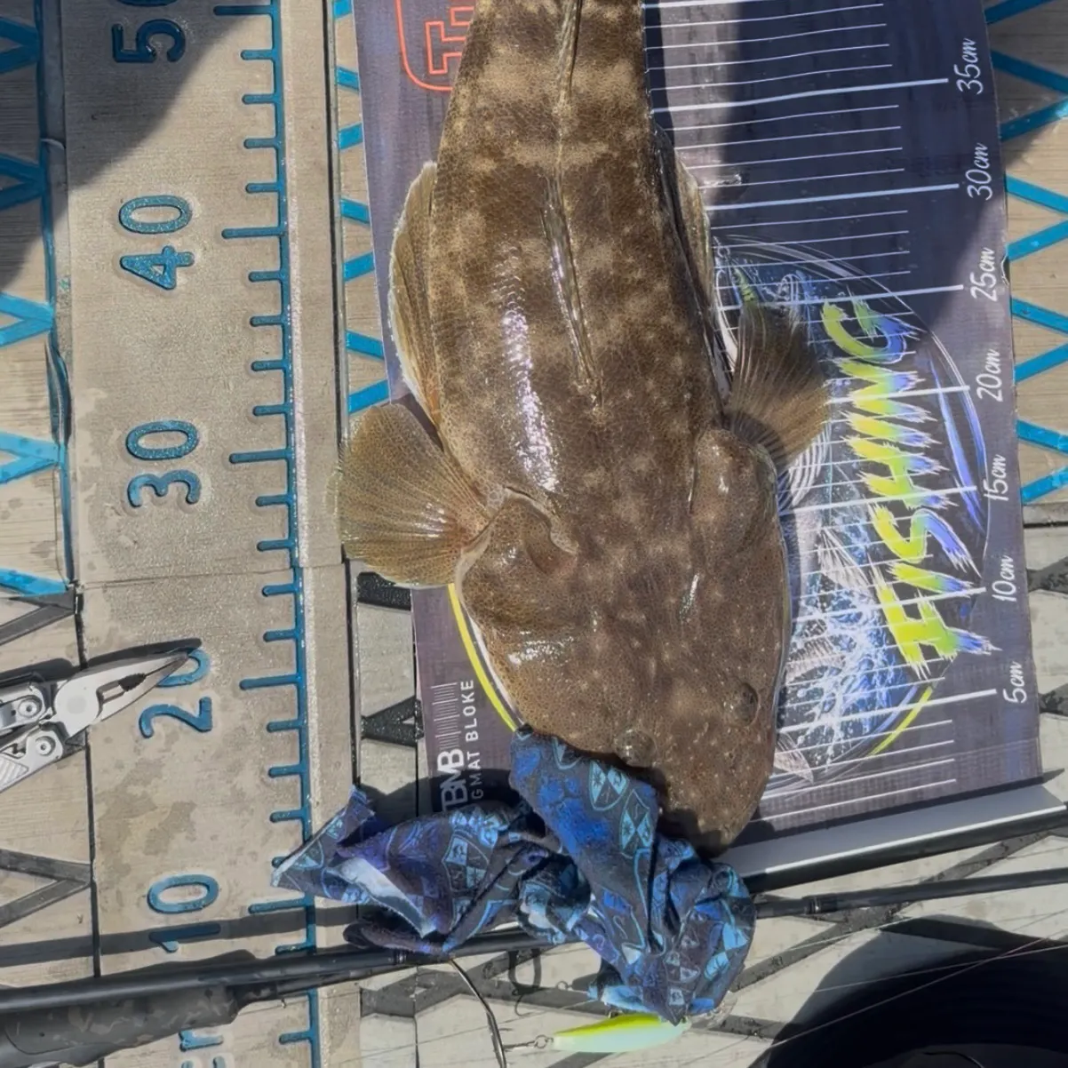 Dusky flathead caught on Fishbrain