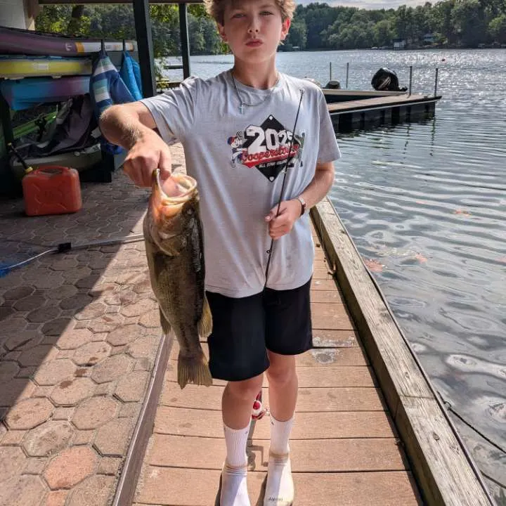 Largemouth bass caught on Fishbrain