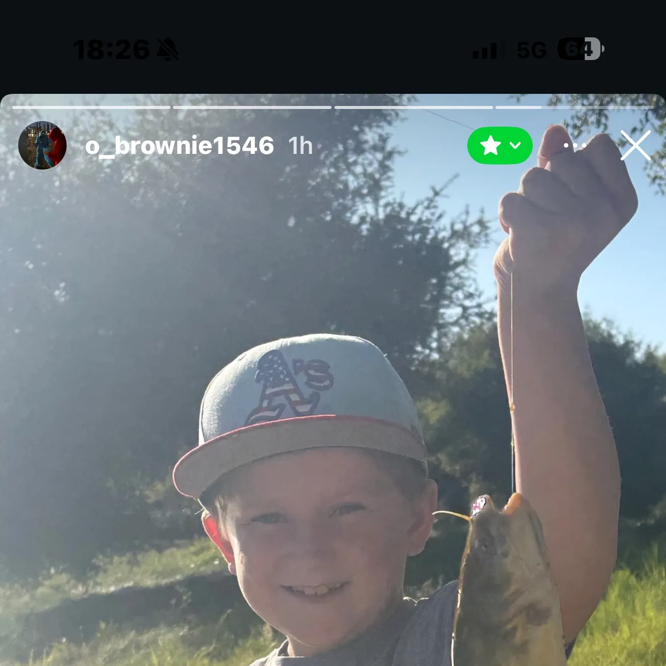Yellow bullhead caught on Fishbrain