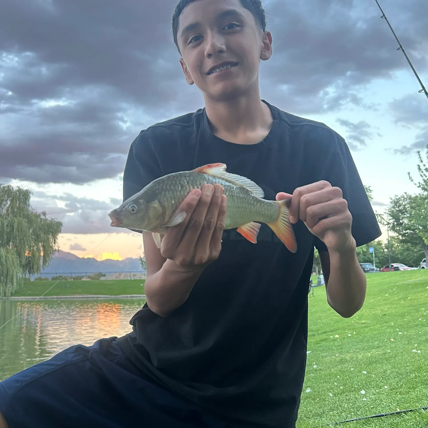 Common carp caught on Fishbrain