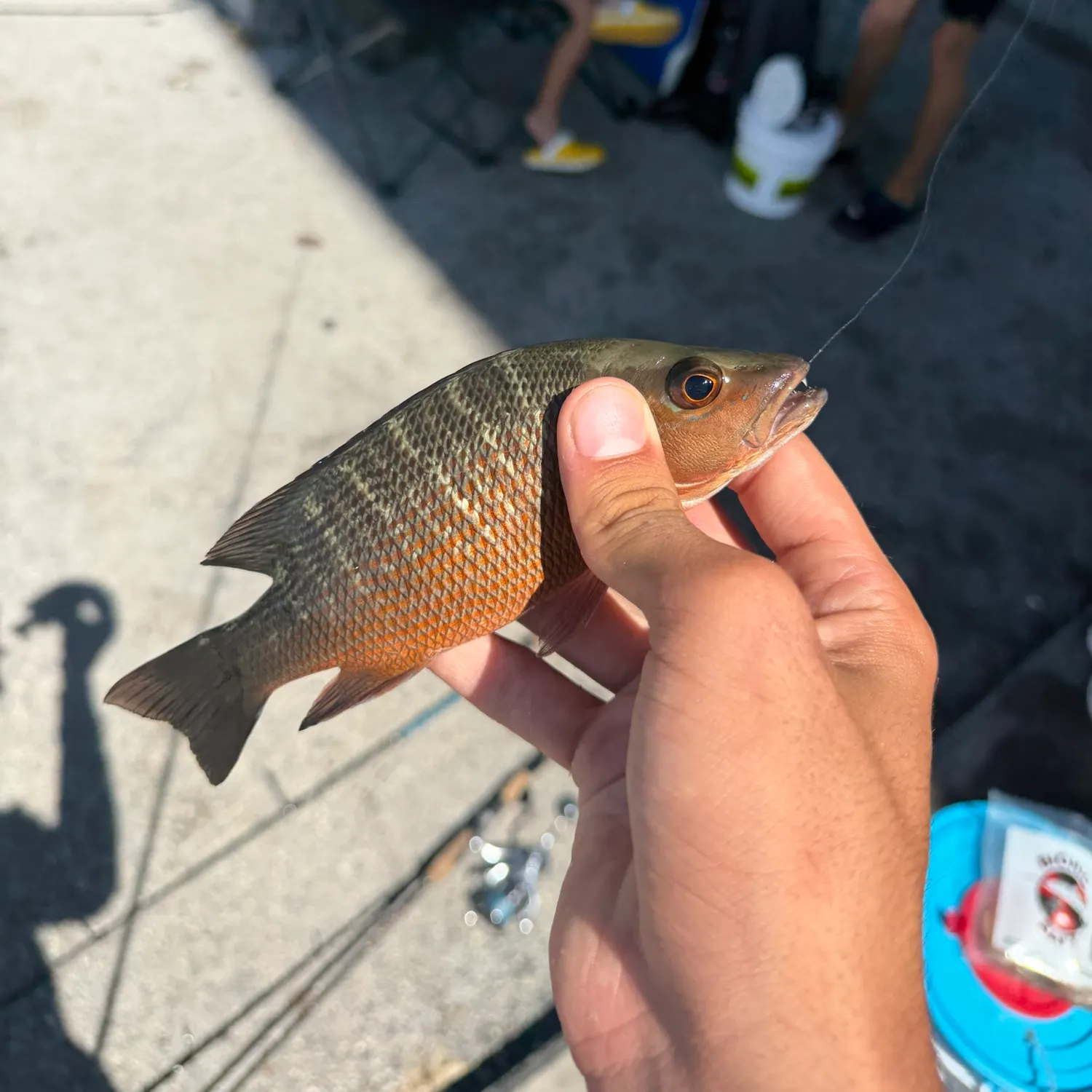 catch
