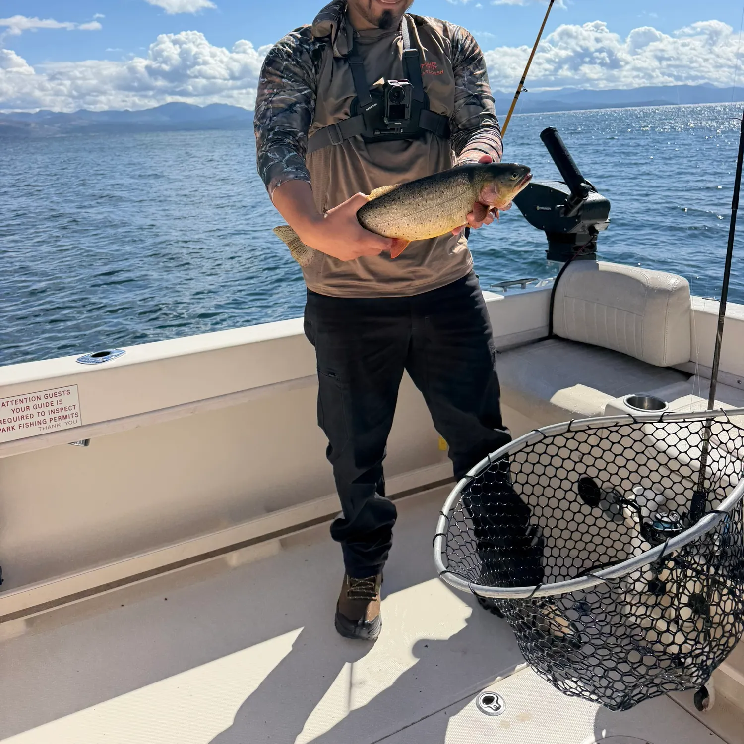 Cutthroat trout caught on Fishbrain