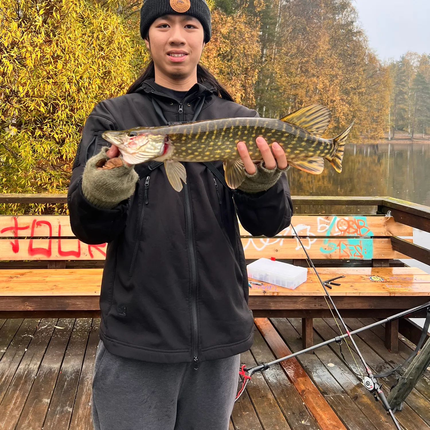 Northern pike caught on Fishbrain