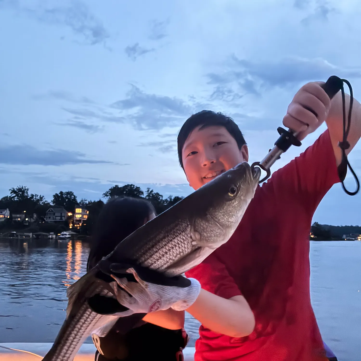 Striped bass caught on Fishbrain
