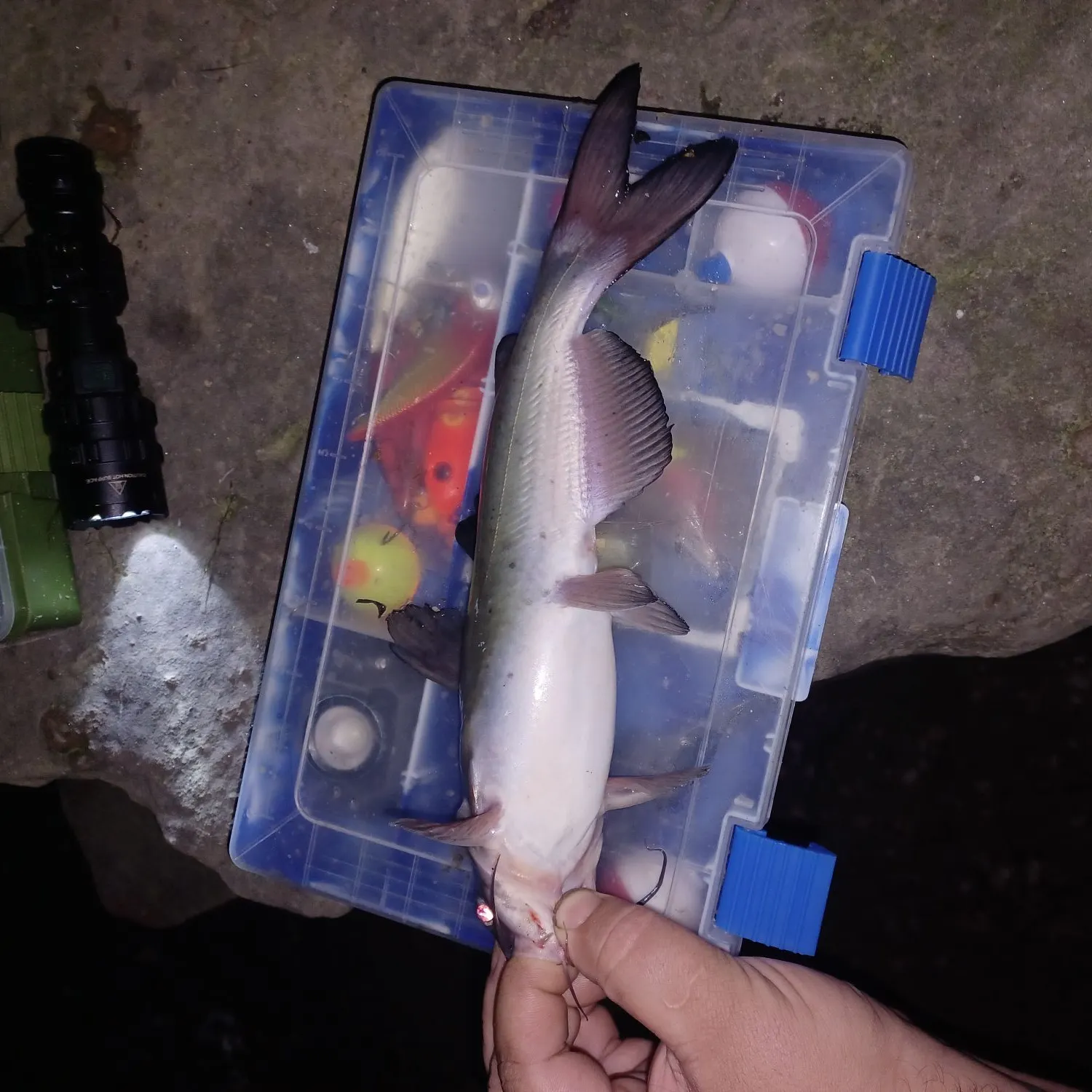catch