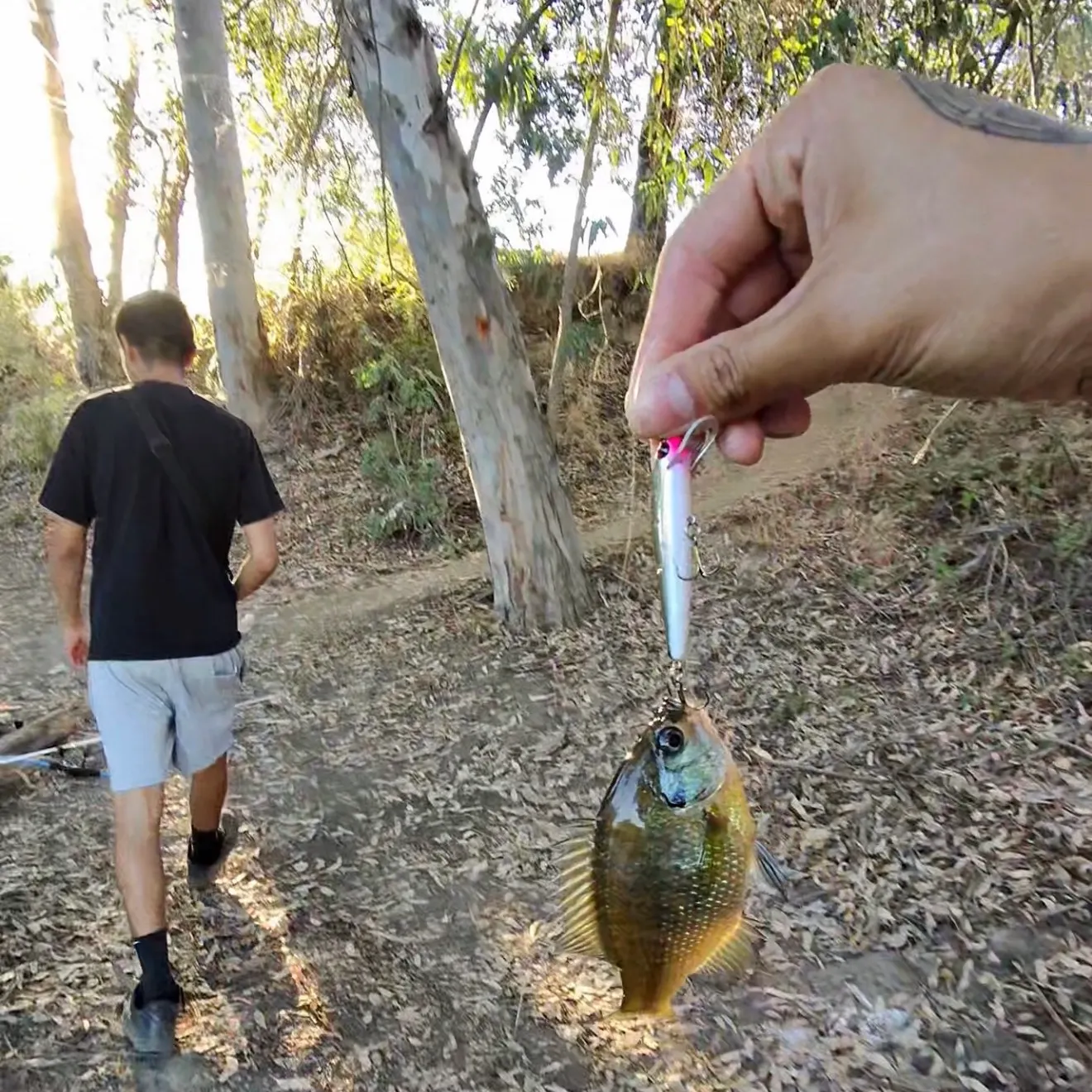 catch