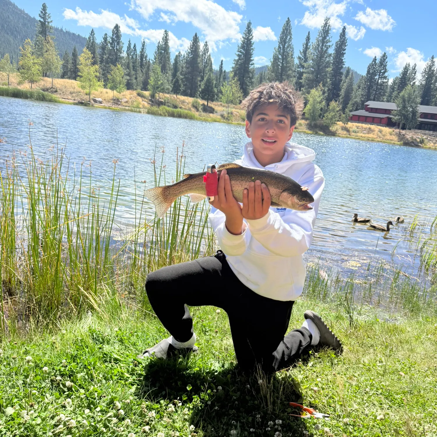 Fish caught on Fishbrain