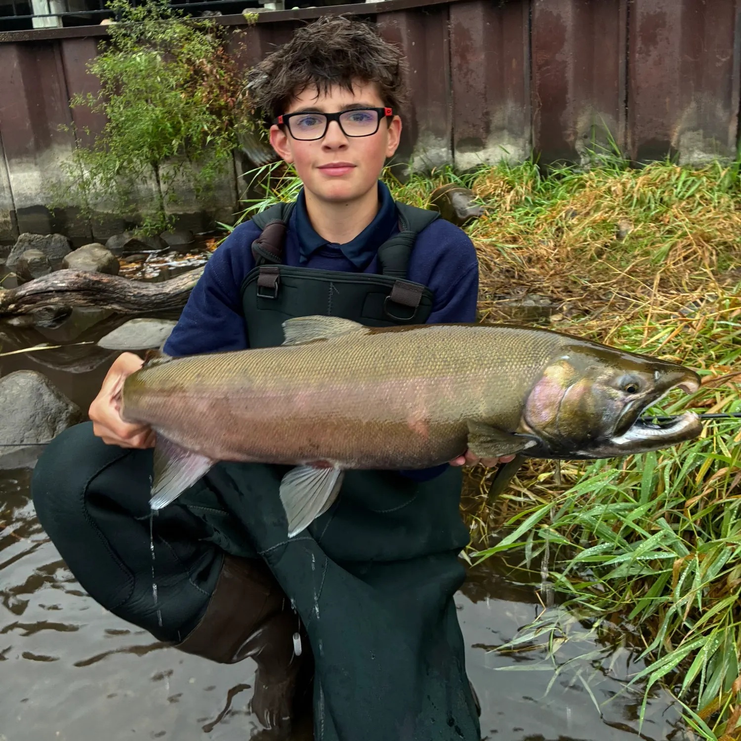 Coho salmon caught on Fishbrain