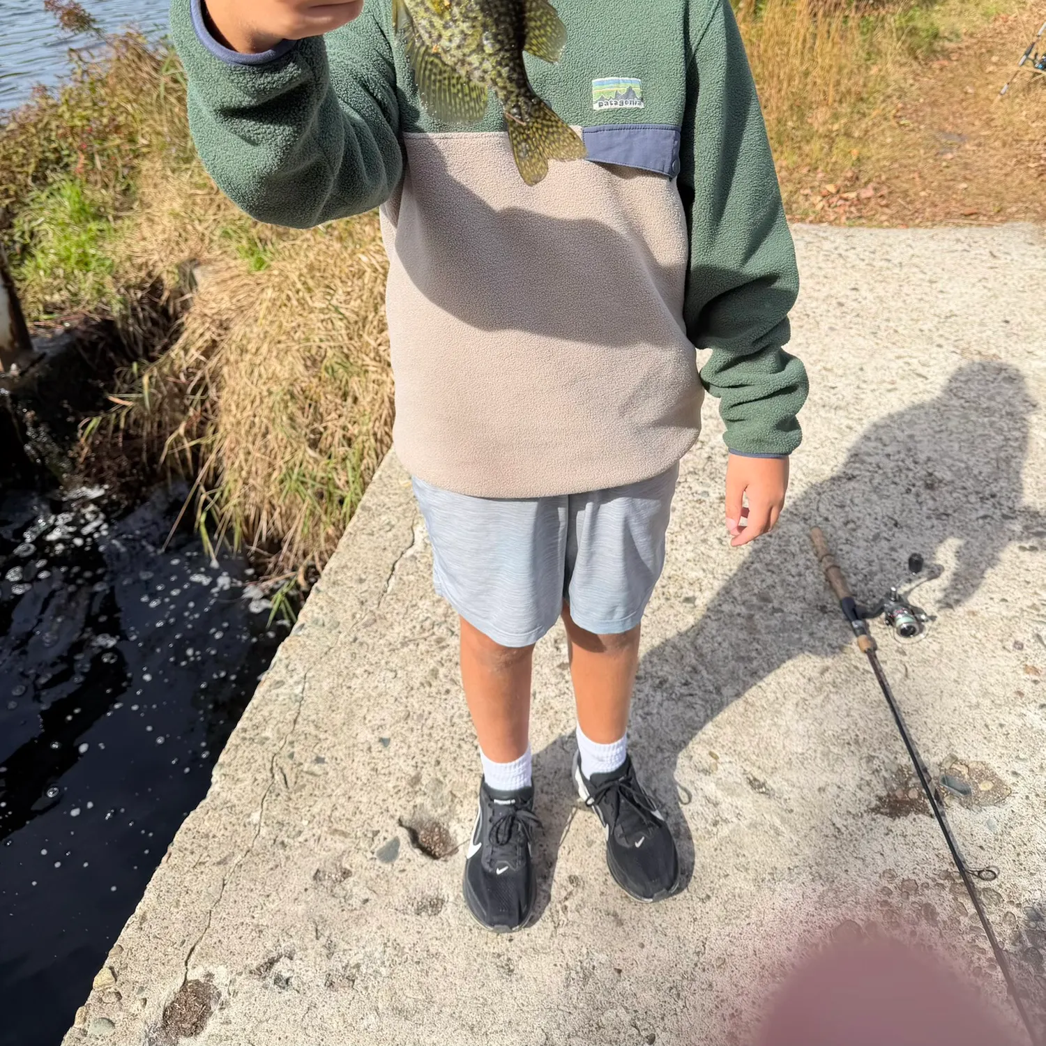 Black crappie caught on Fishbrain