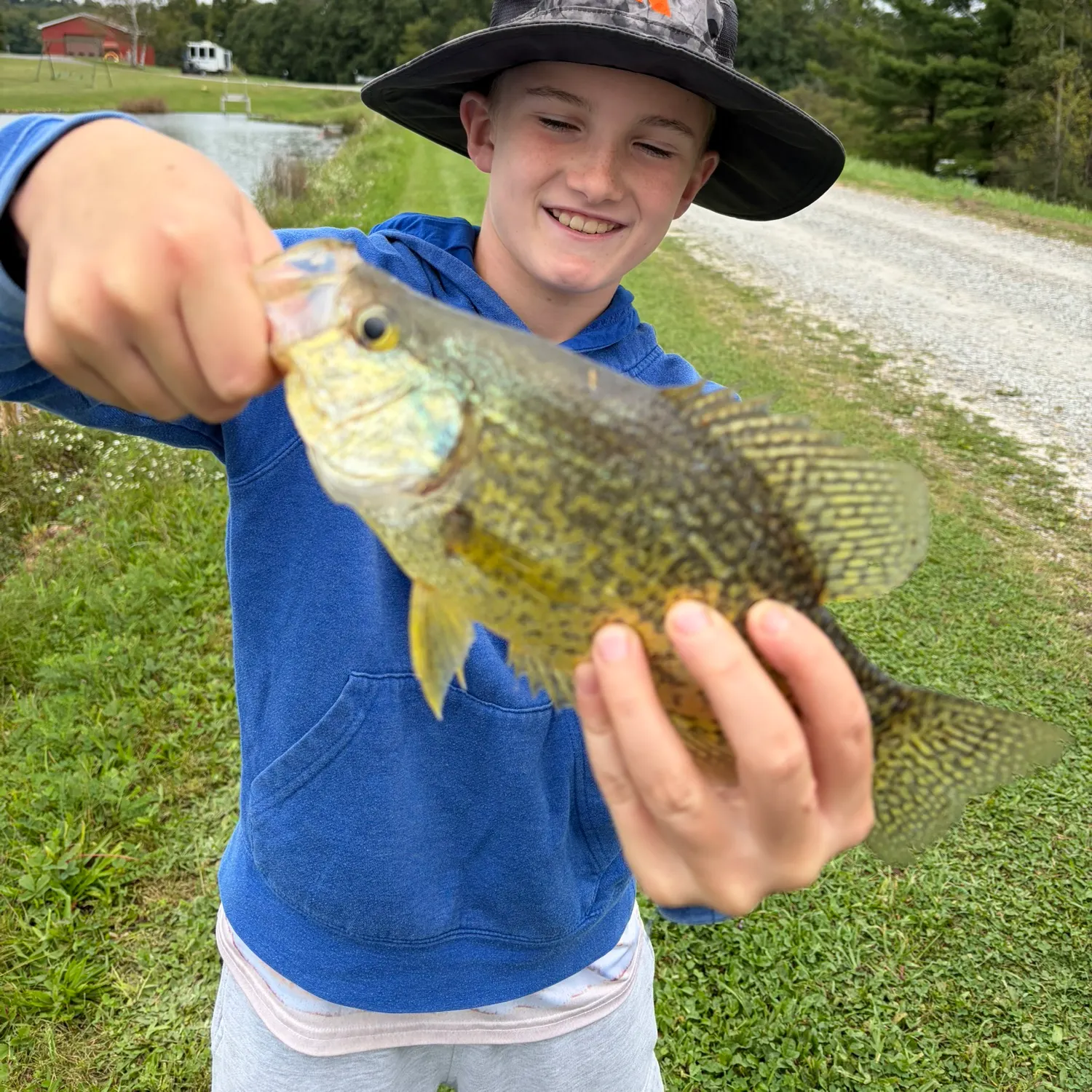 Black crappie caught on Fishbrain