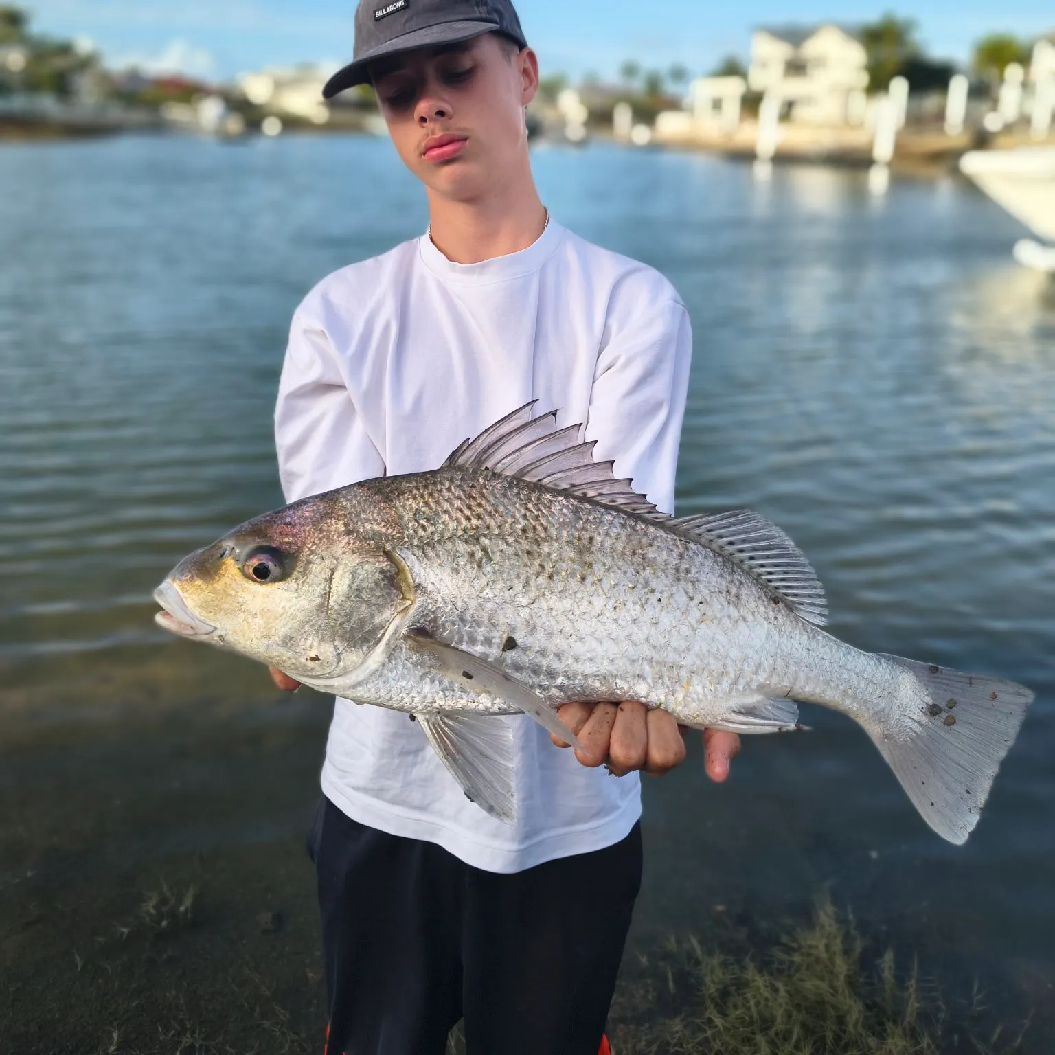 The most recent Javelin grunter catches on Fishbrain