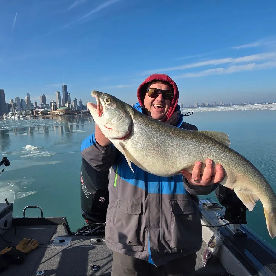 The most recent Lake char catches on Fishbrain