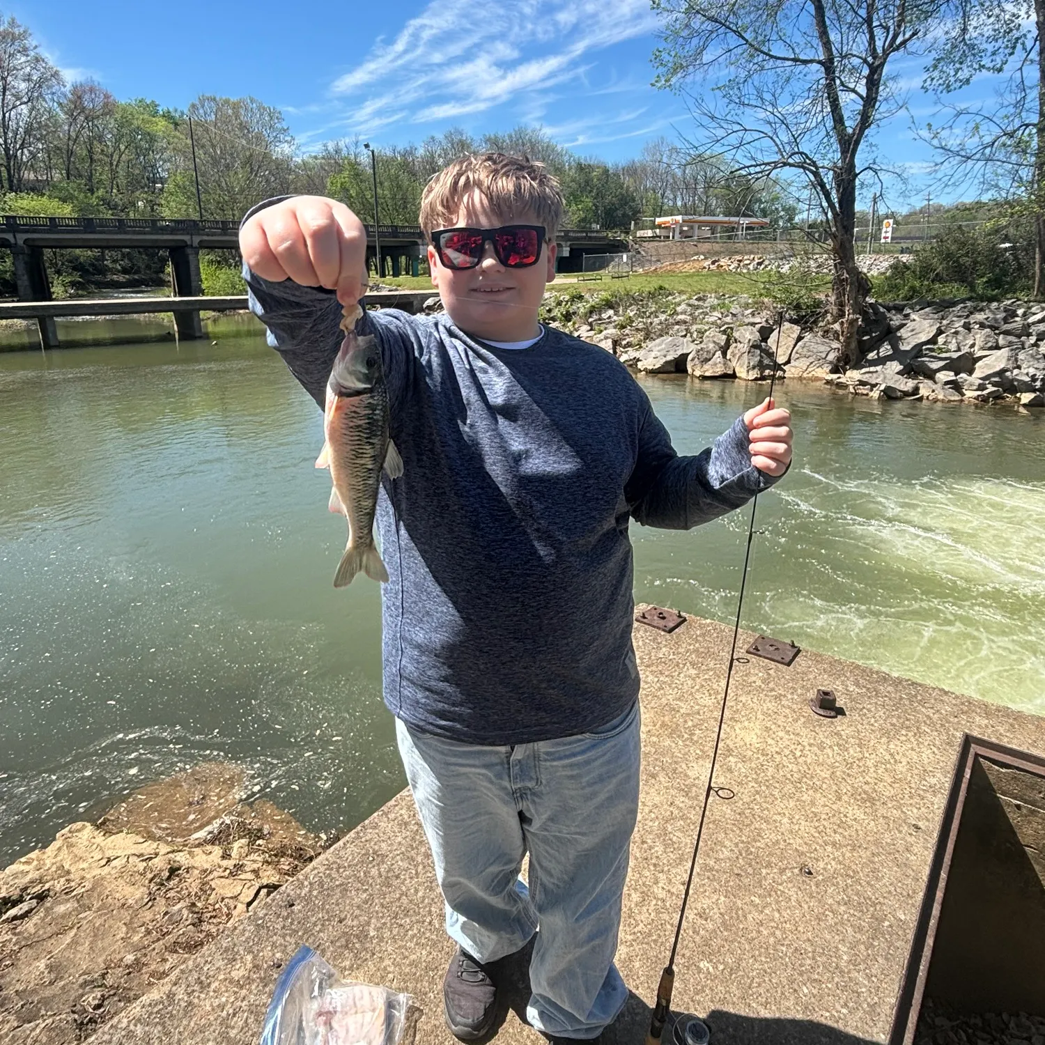 The most recent Striped shiner catches on Fishbrain