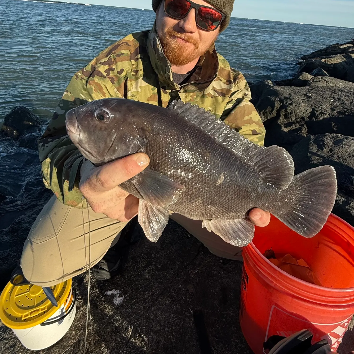 The most recent Tautog catches on Fishbrain