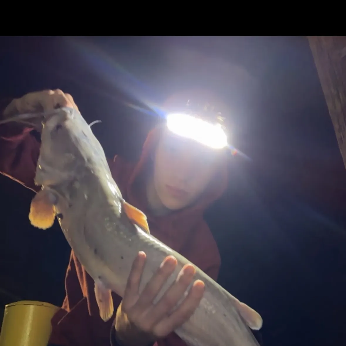 Fish caught on Fishbrain