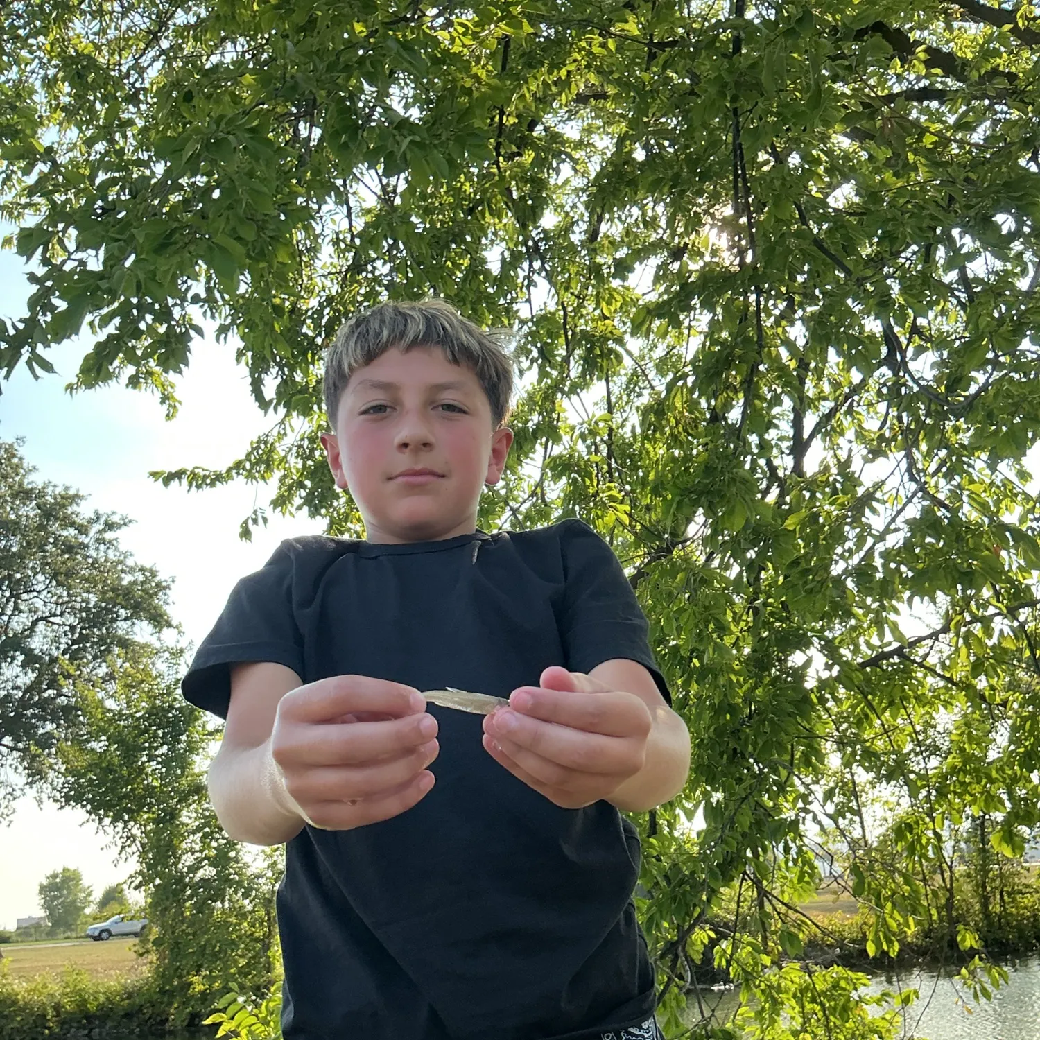 The most recent Blacknose shiner catches on Fishbrain