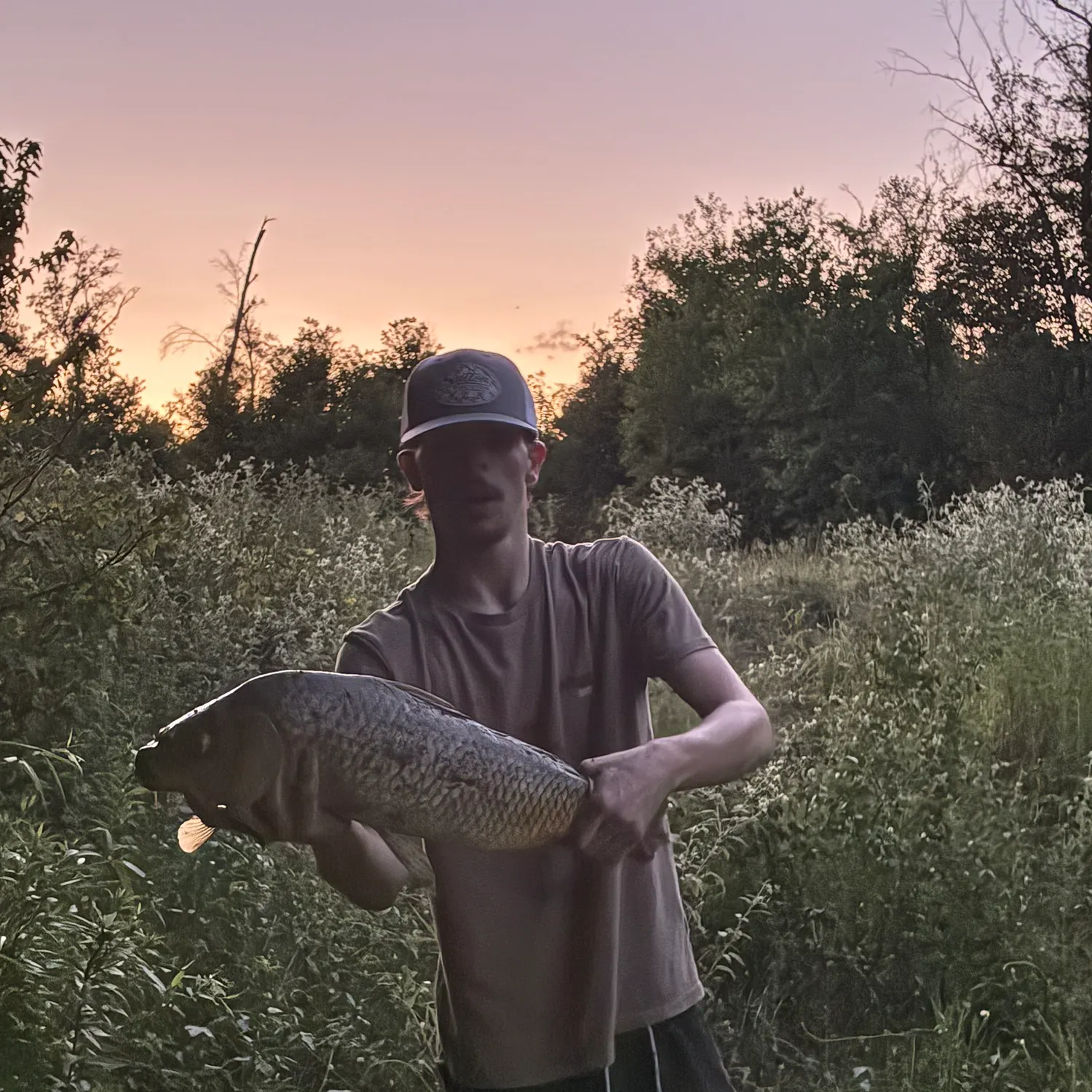 Common carp caught on Fishbrain