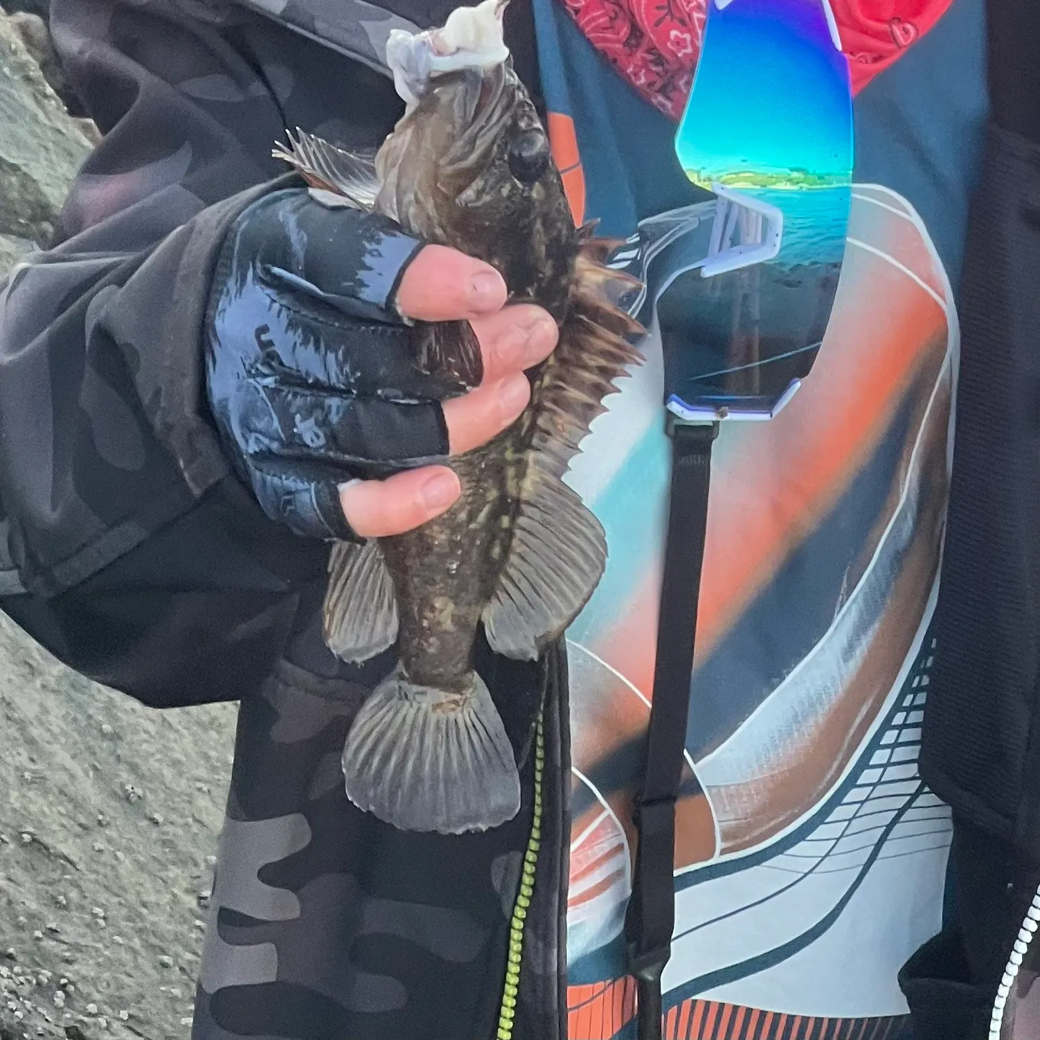 The most recent Brown rockfish catches on Fishbrain