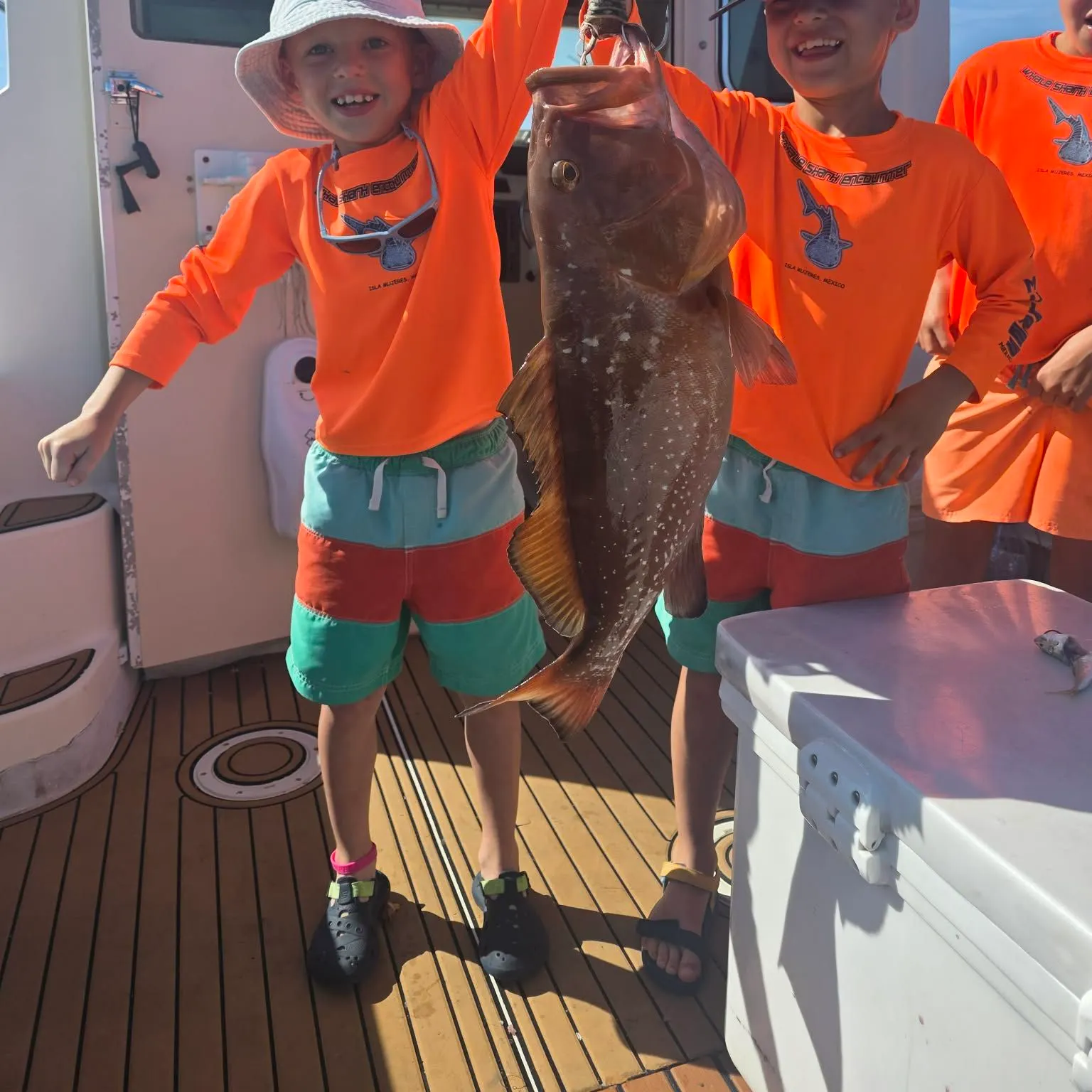 The most recent Red grouper catches on Fishbrain