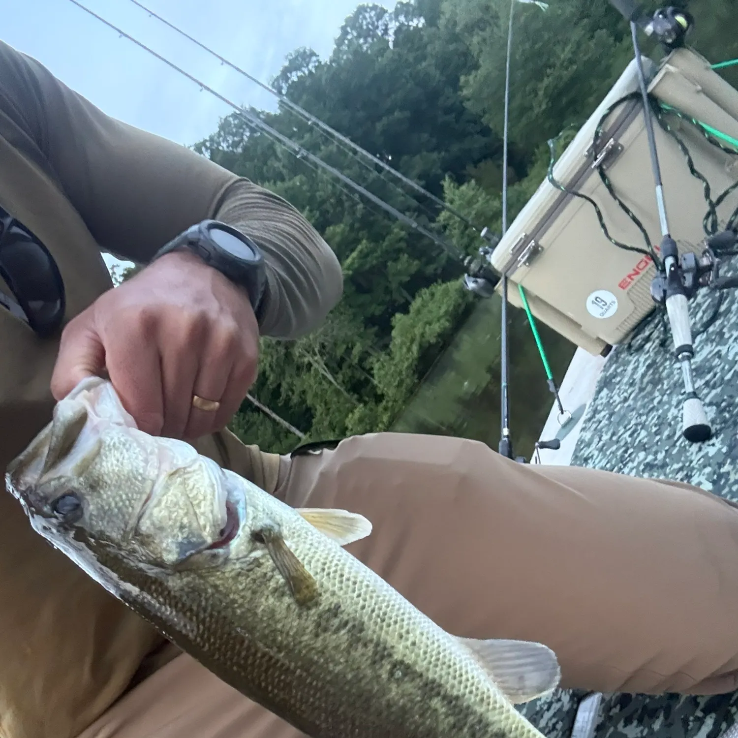 catch