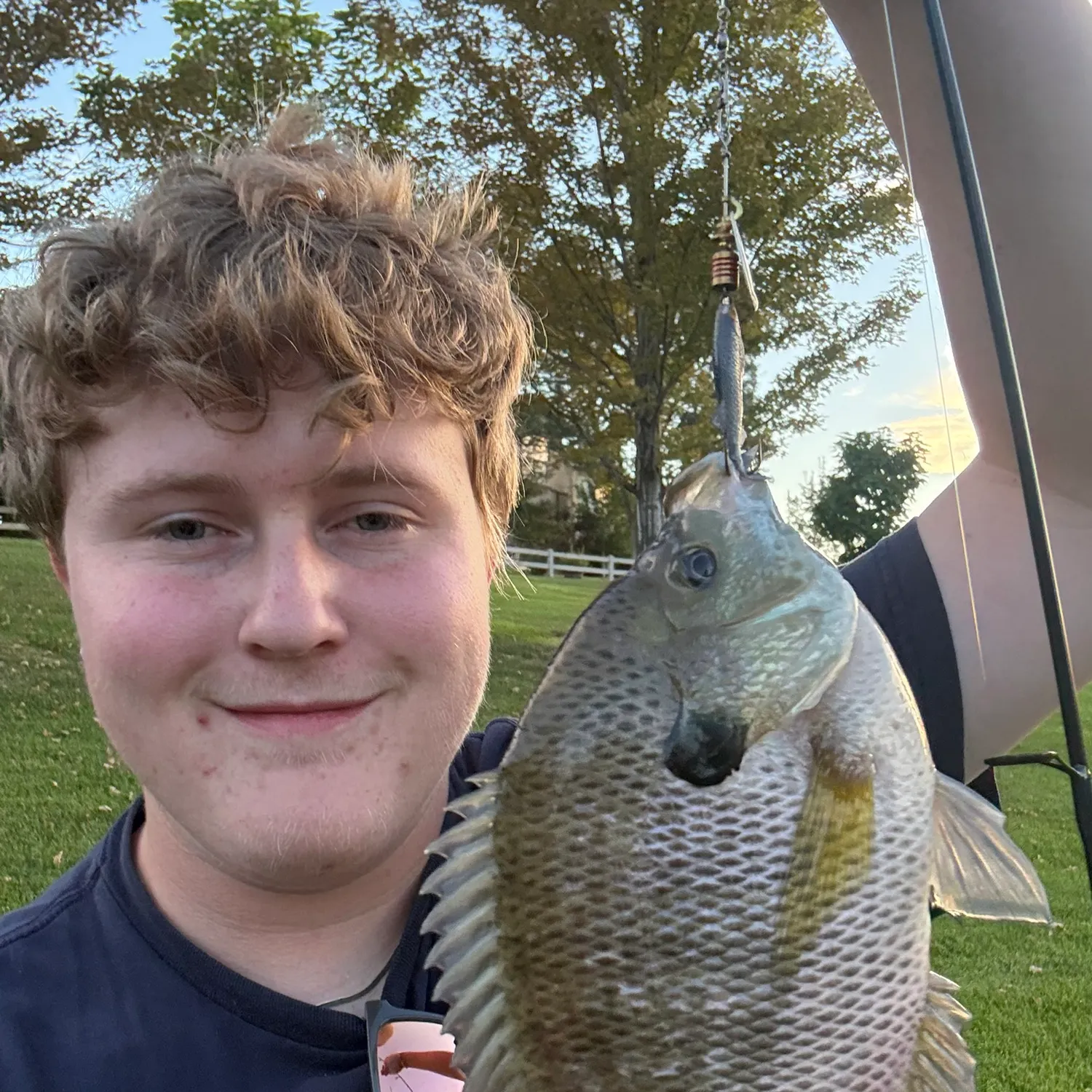 Bluegill caught on Fishbrain