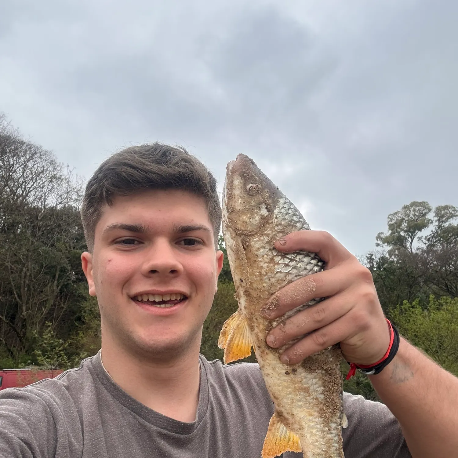 The most recent Boga catches on Fishbrain