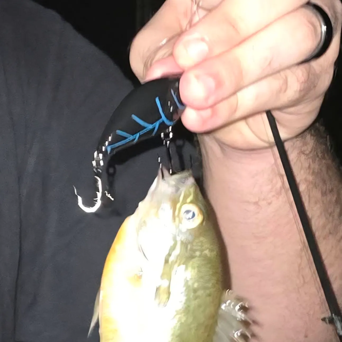 Redbreast sunfish caught on Fishbrain