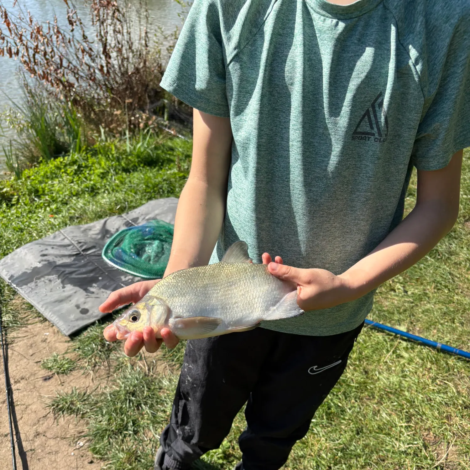 The most recent White bream catches on Fishbrain