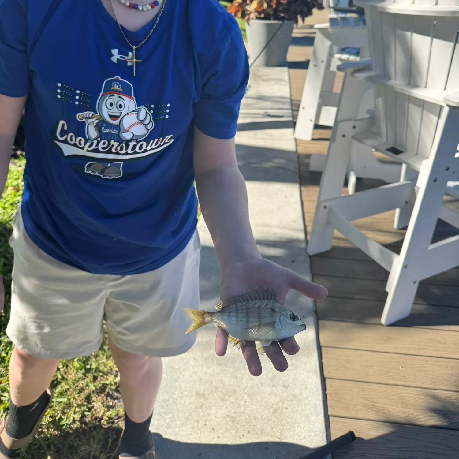 The most recent Javelin grunter catches on Fishbrain