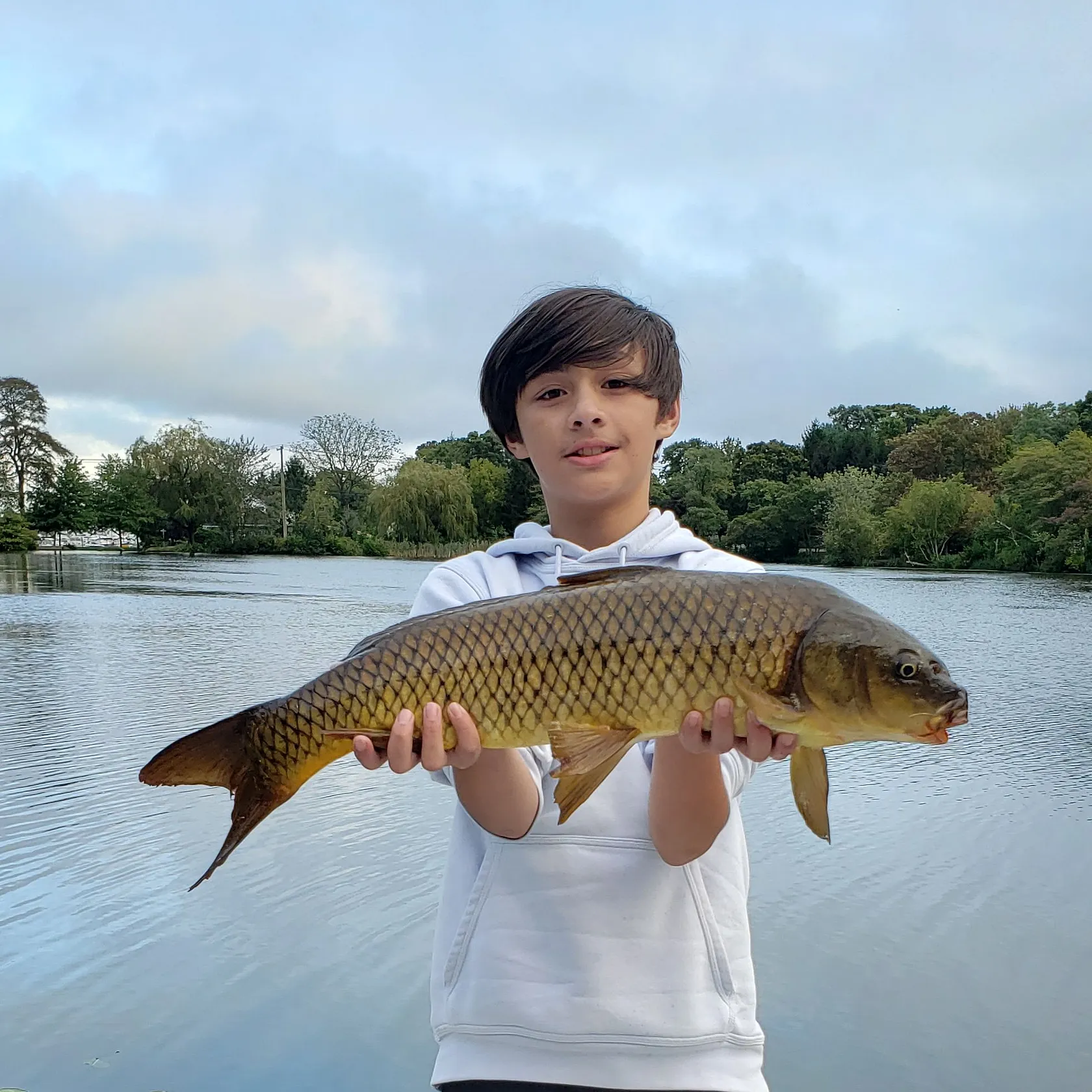Common carp caught on Fishbrain
