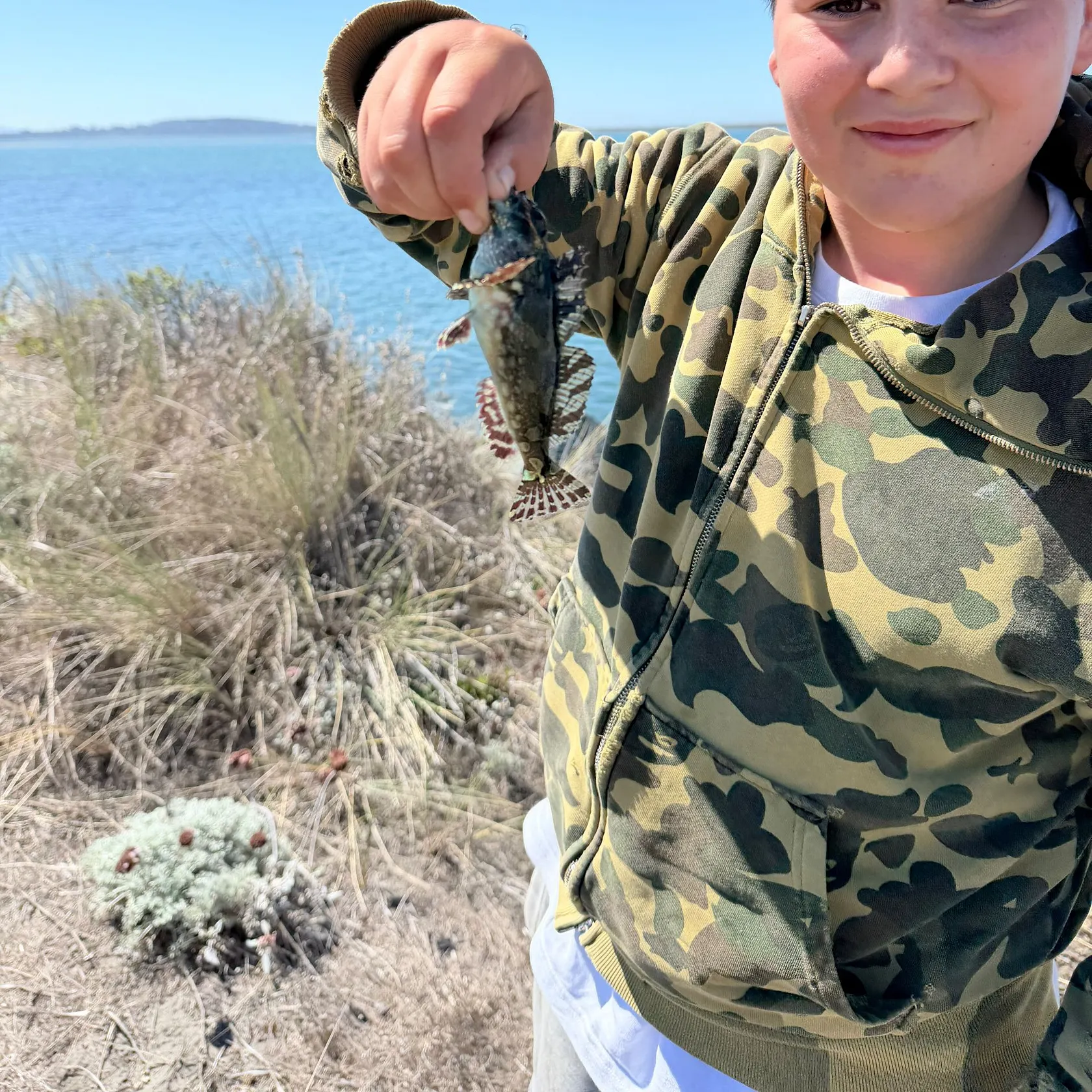 The most recent Cabezon catches on Fishbrain