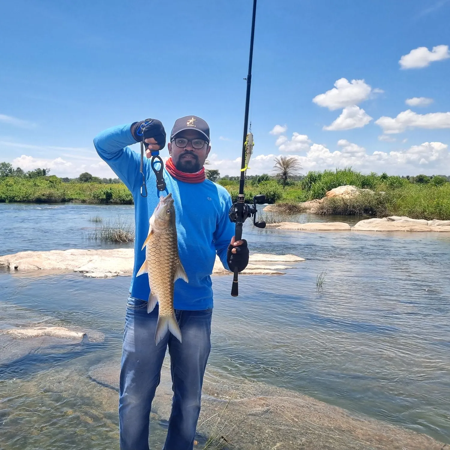 The most recent Tor mahseer catches on Fishbrain
