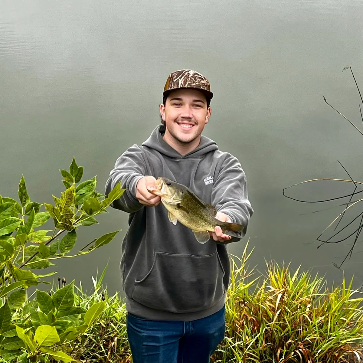 Largemouth bass caught on Fishbrain