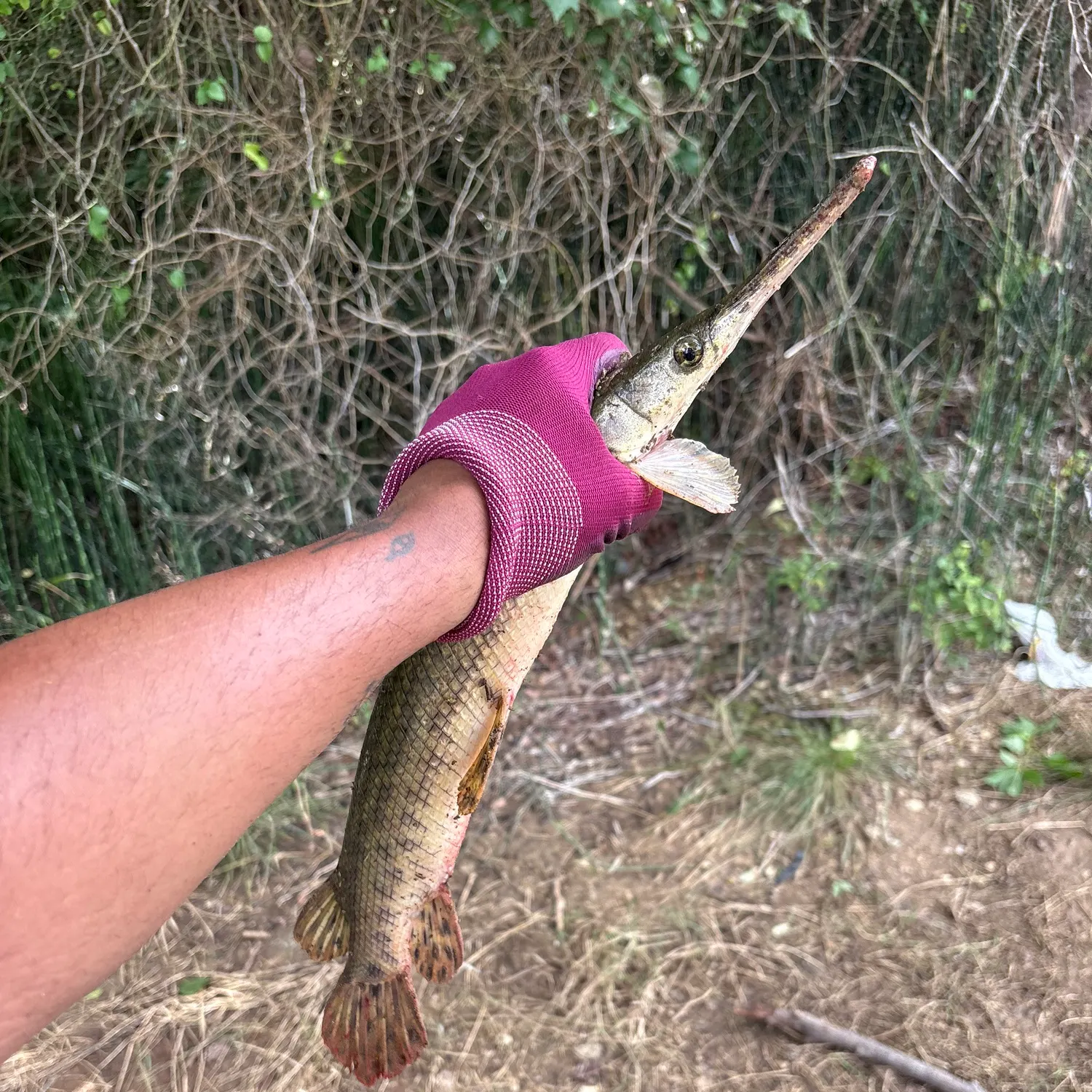 catch